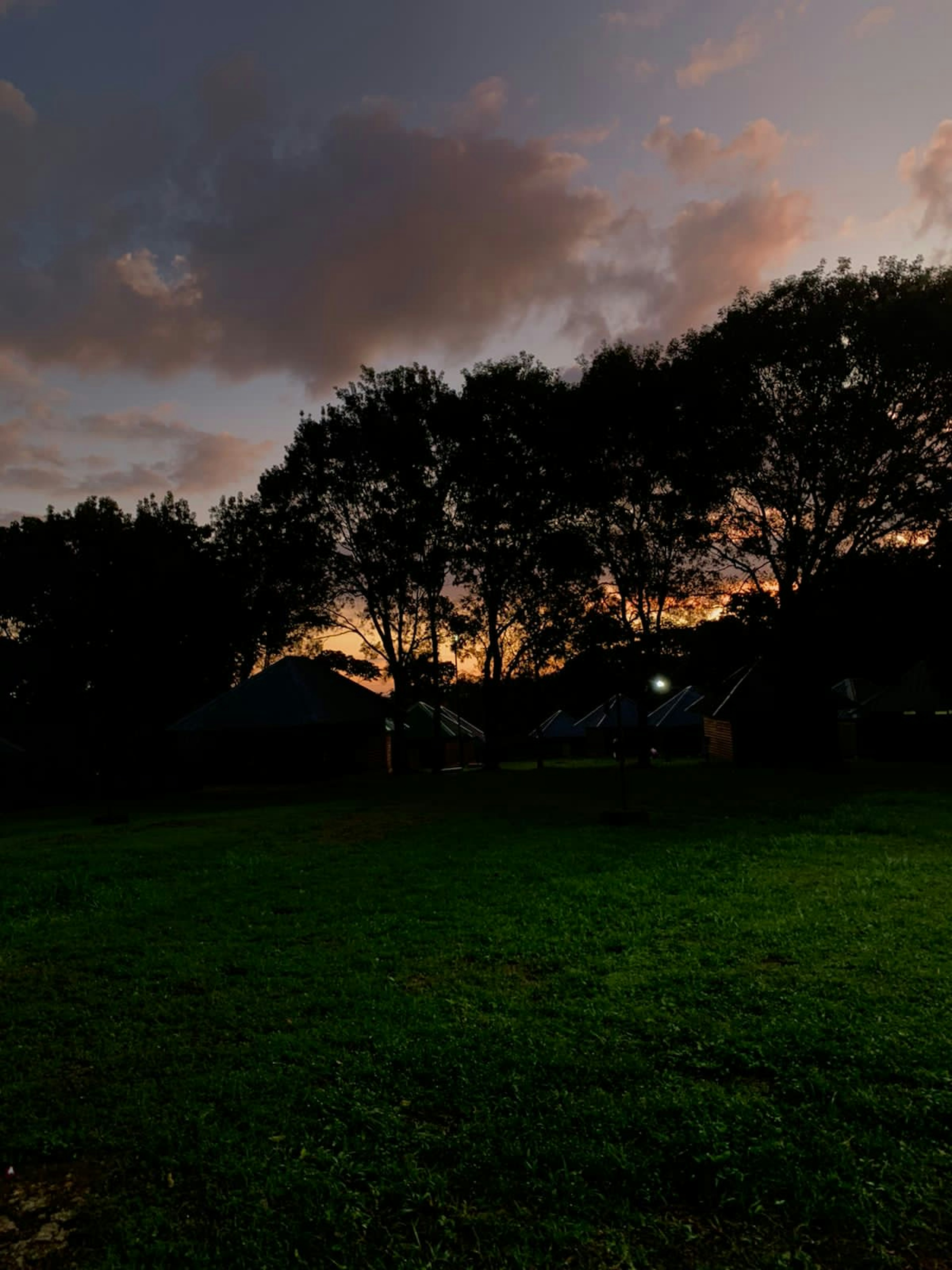 Scène de parc au crépuscule avec herbe verte et arbres en silhouette contre un ciel orange