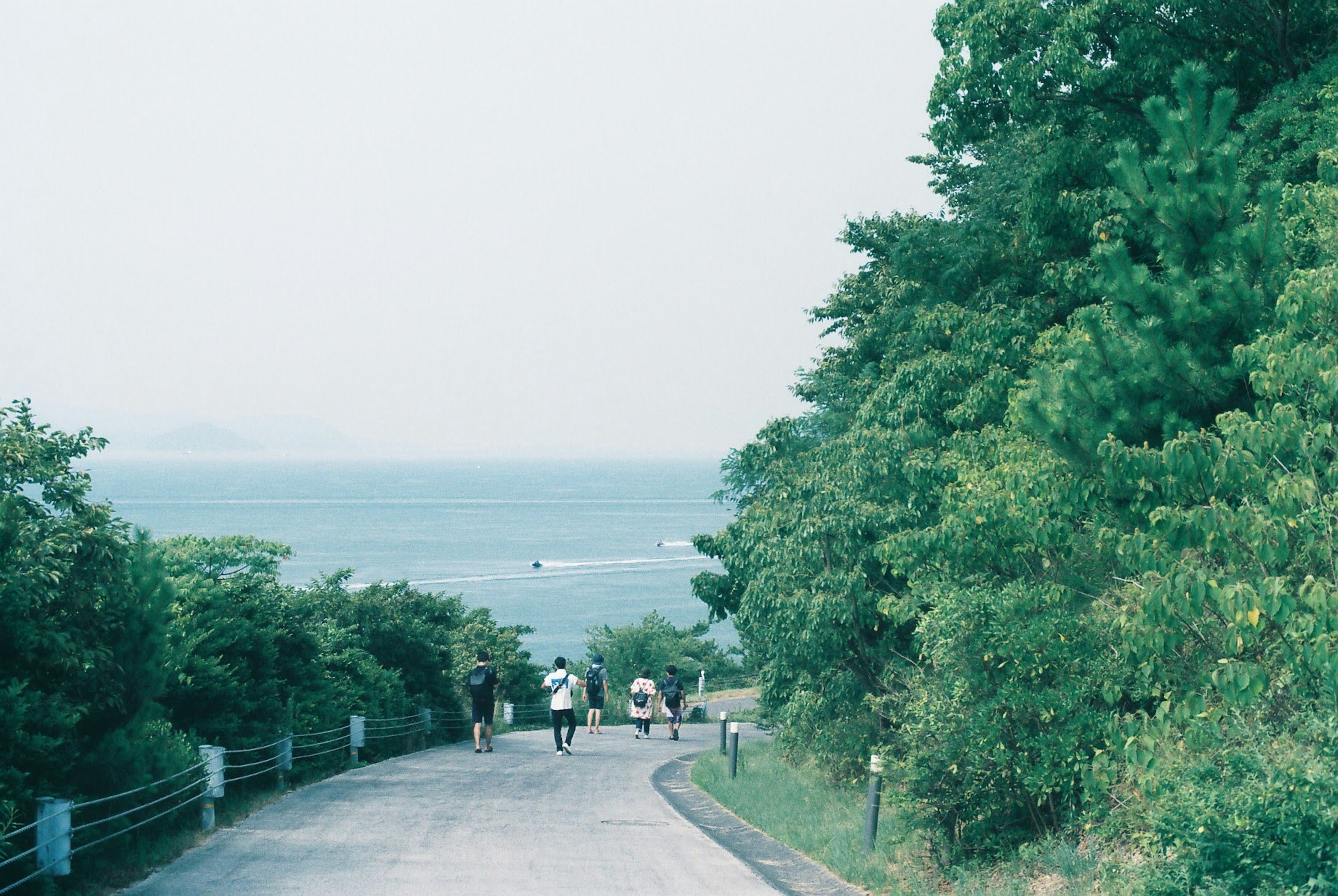 Malersicher Blick auf eine Straße, die zum Meer führt, mit grünen Bäumen auf beiden Seiten