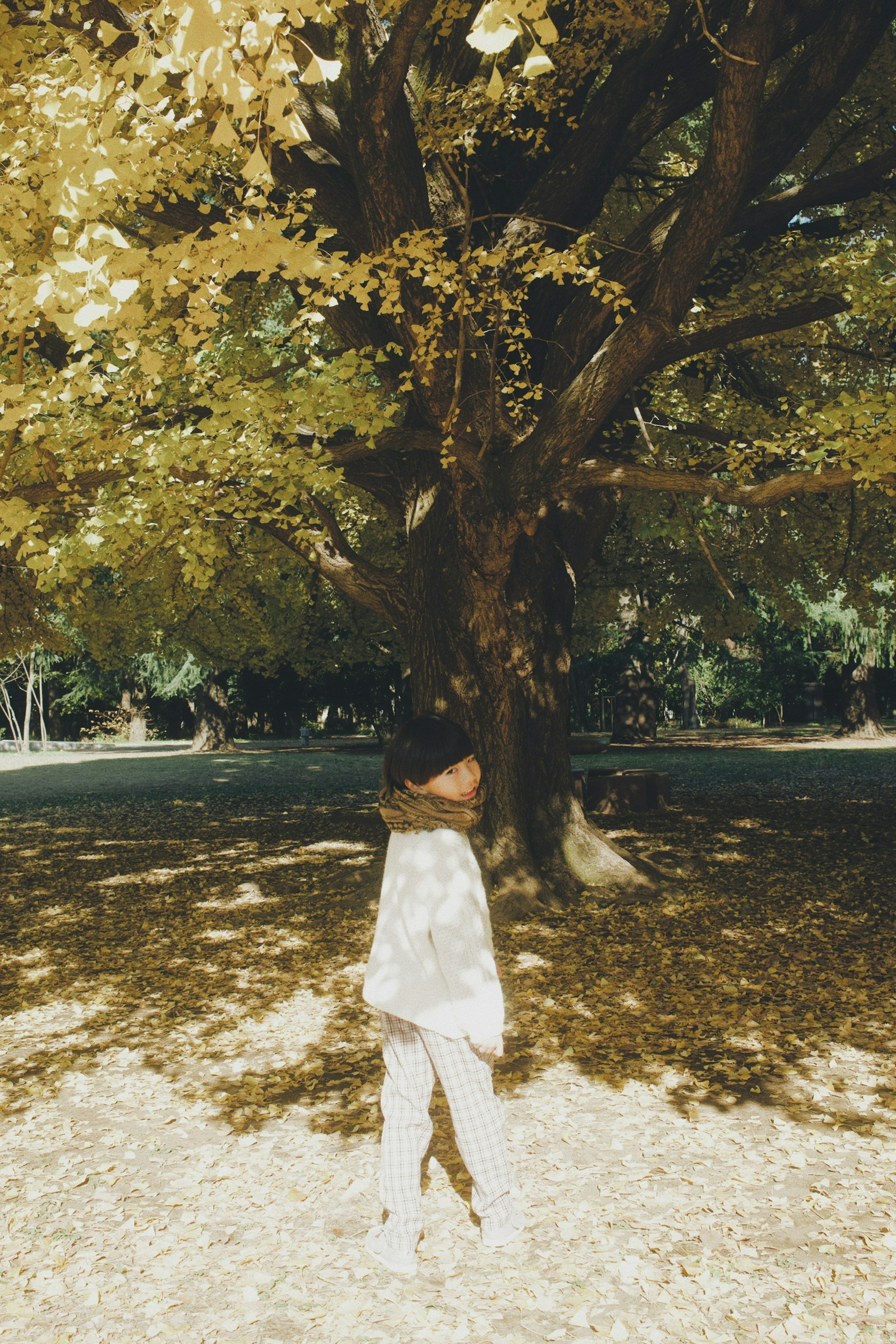 A woman standing under a large tree with yellow leaves in a serene park setting