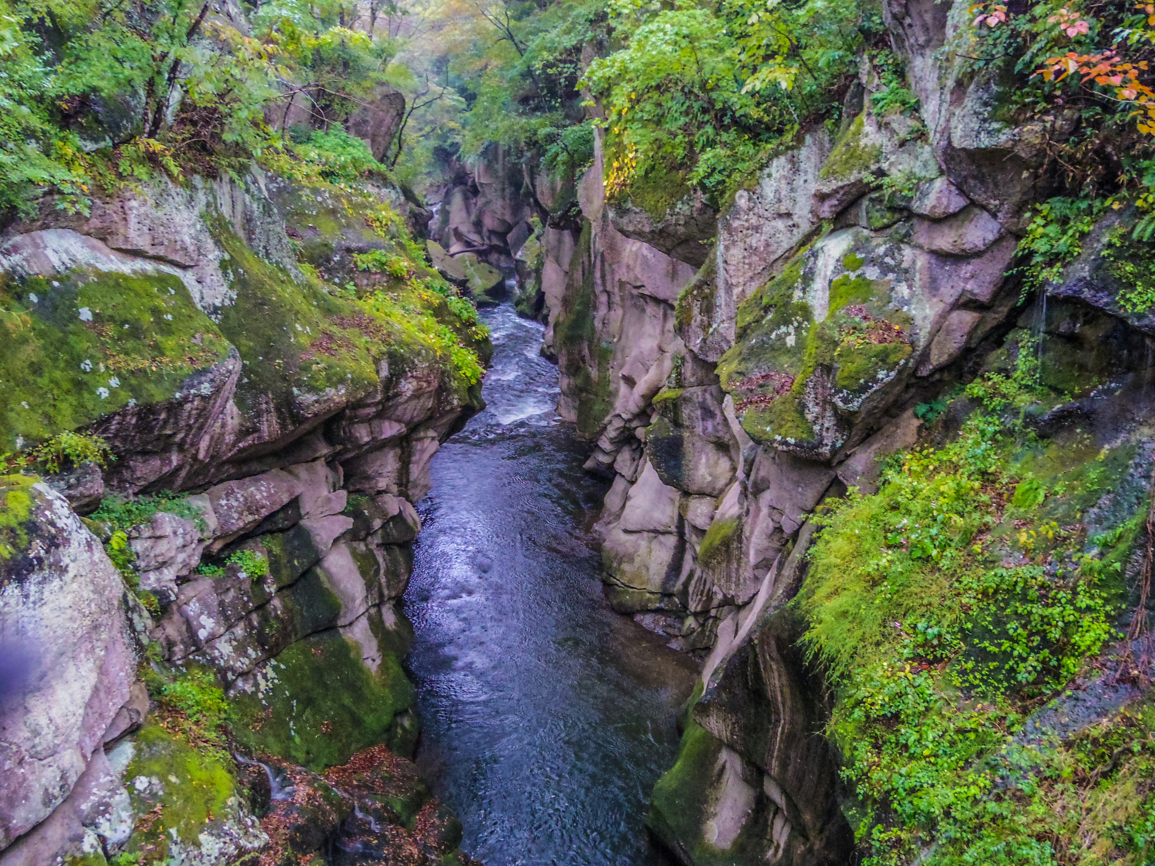 Ein Fluss, der durch eine schöne Schlucht fließt, umgeben von üppigem Grün