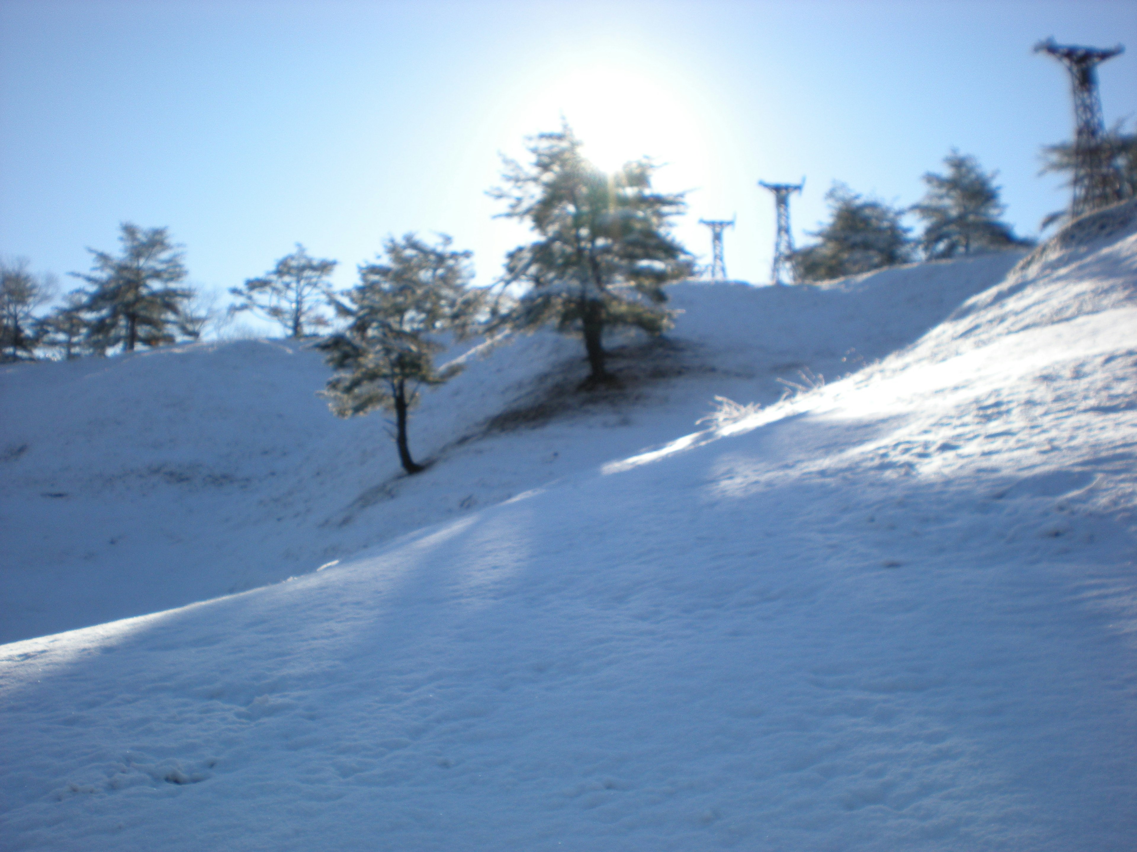 Paisaje de colina nevada con luz del sol y árboles a la vista