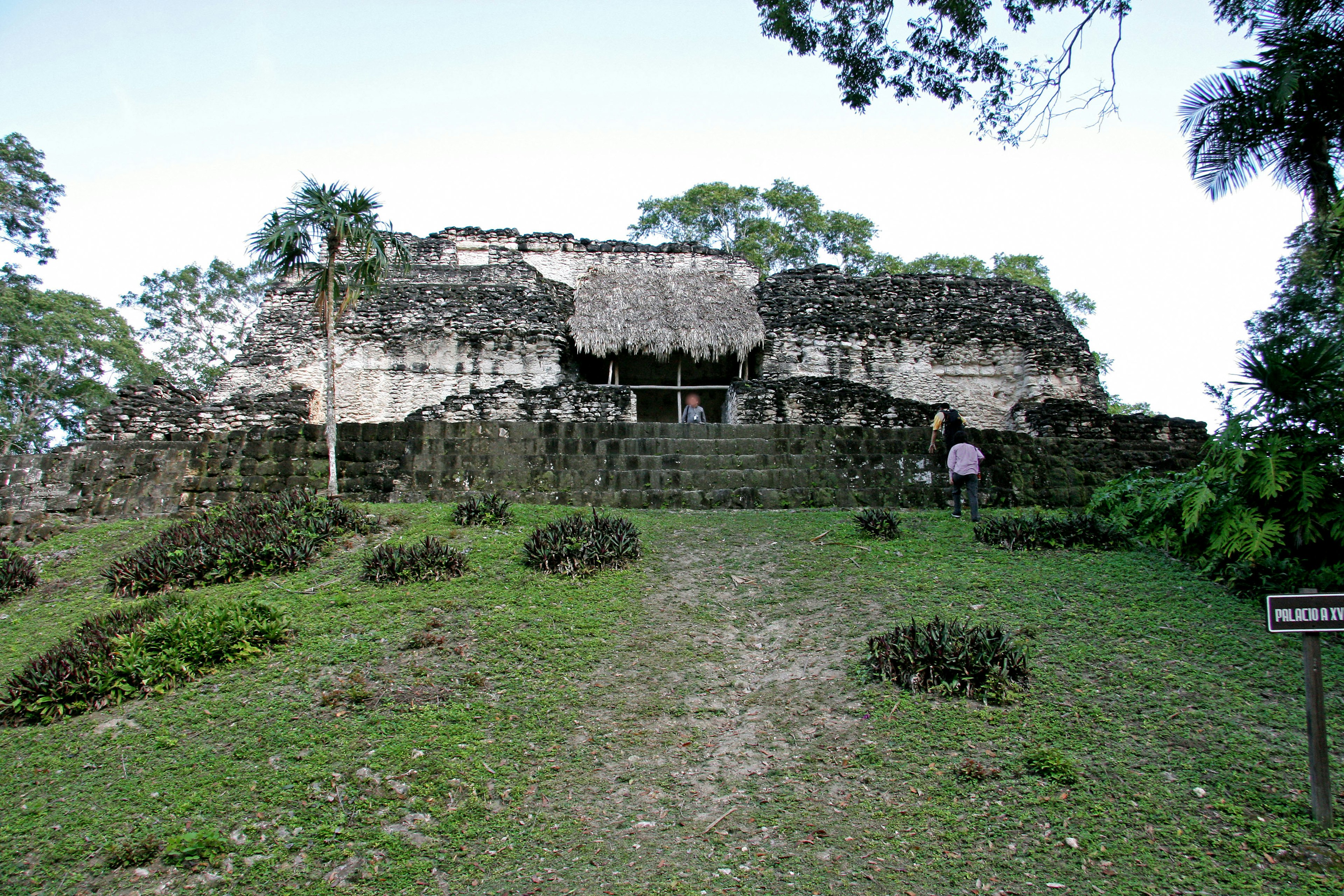 Ancient ruins with stone steps and lush greenery