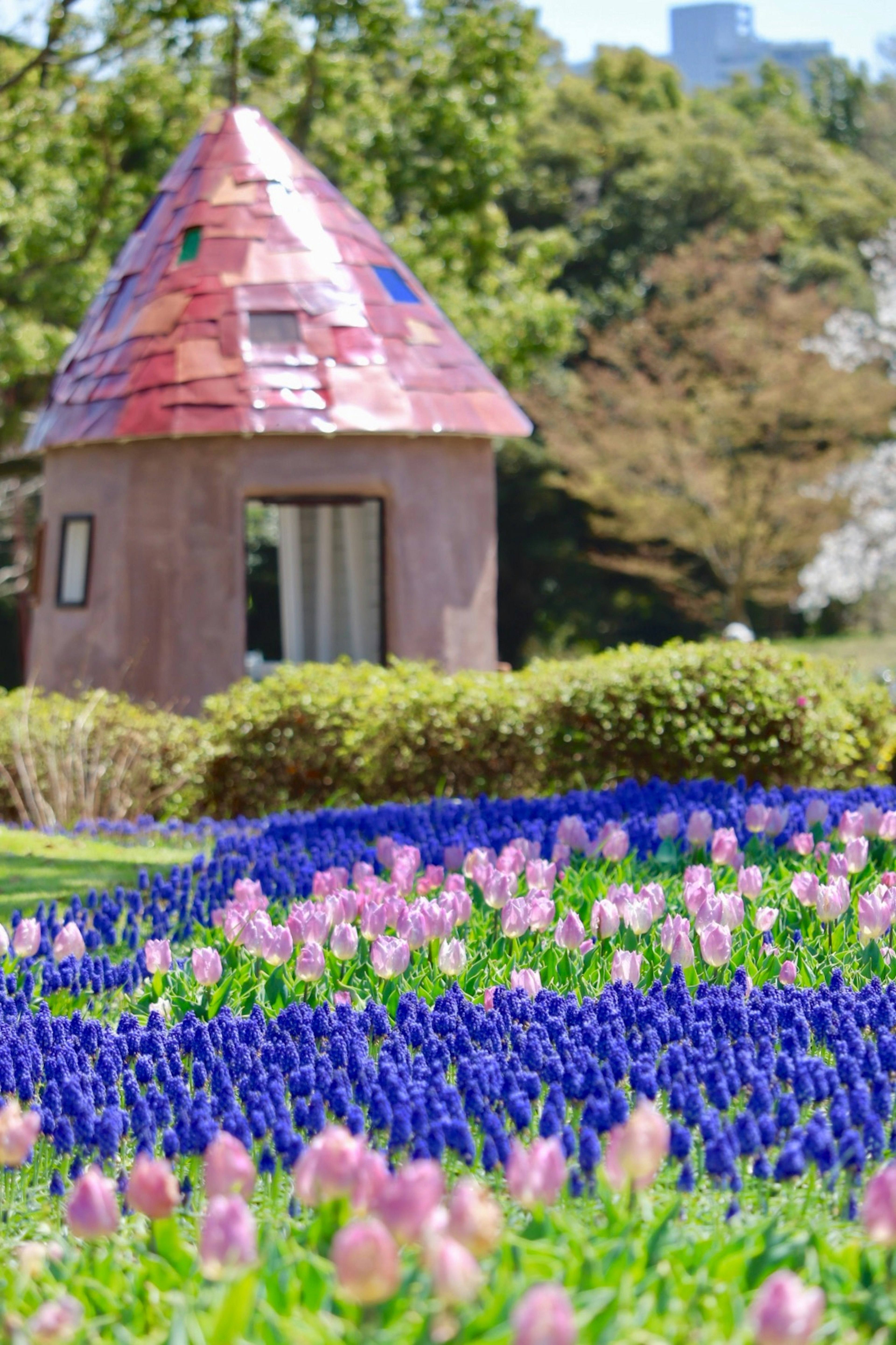 Fleurs colorées en fleurs dans un parc avec une petite structure ressemblant à une maison en arrière-plan