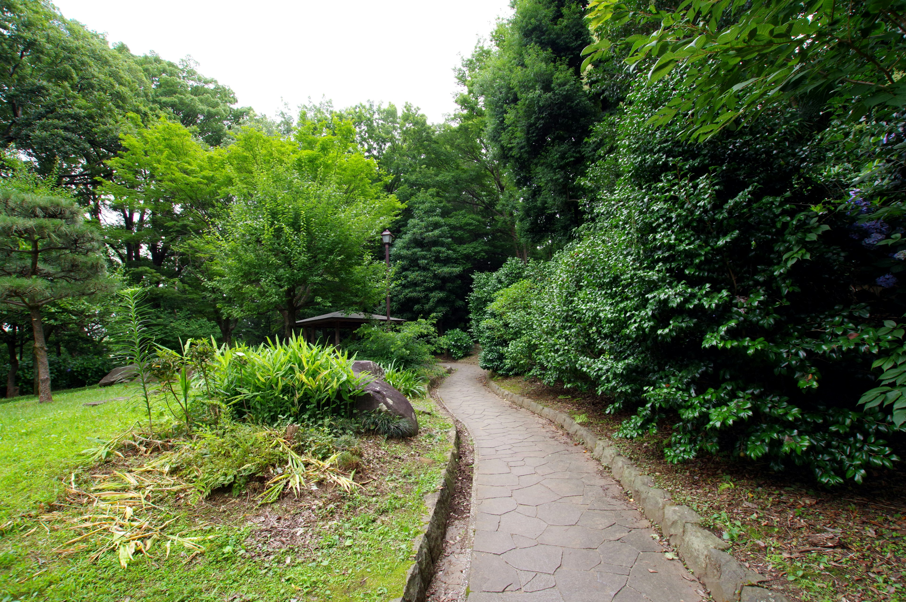 Ein gewundener Weg, umgeben von üppigem Grün in einem Park