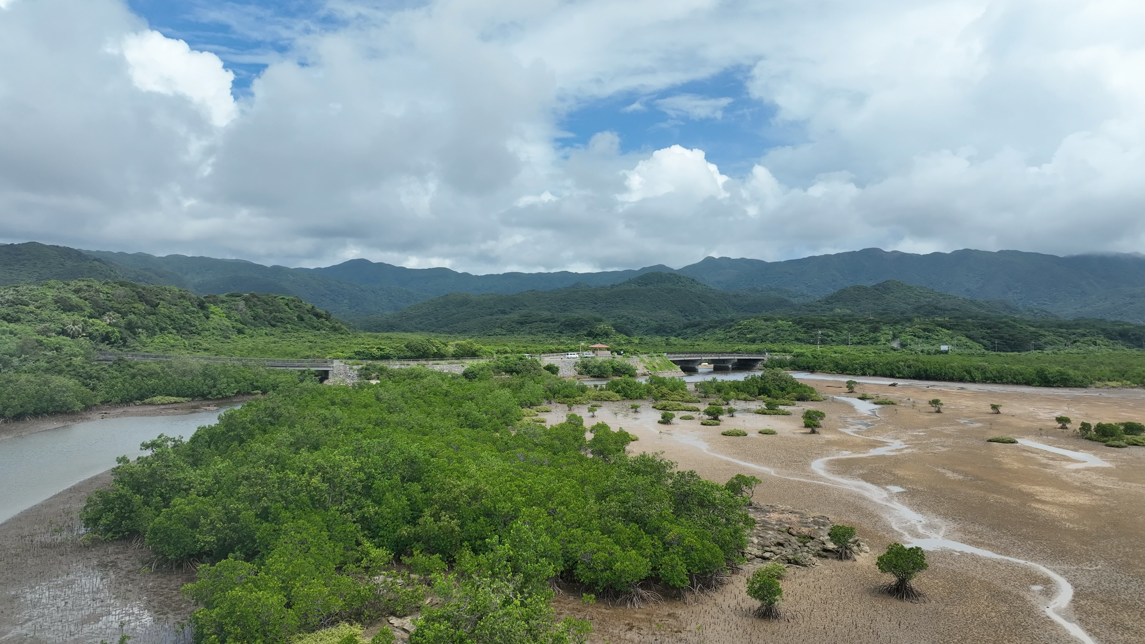 Zone umide lussureggiante con un fiume che scorre sotto un cielo blu e nuvole