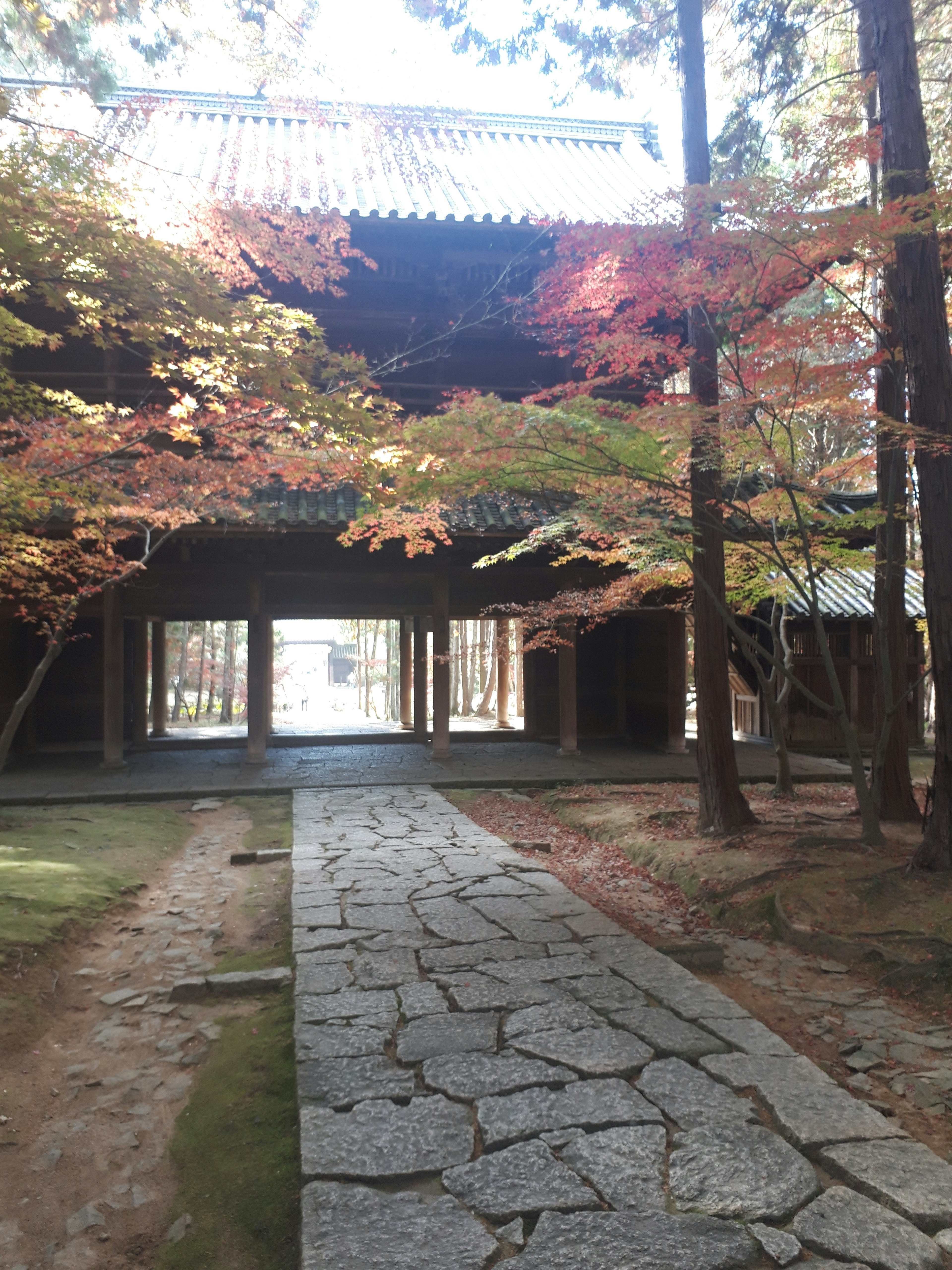 美しい紅葉のある石の小道が続く日本の寺院の入り口