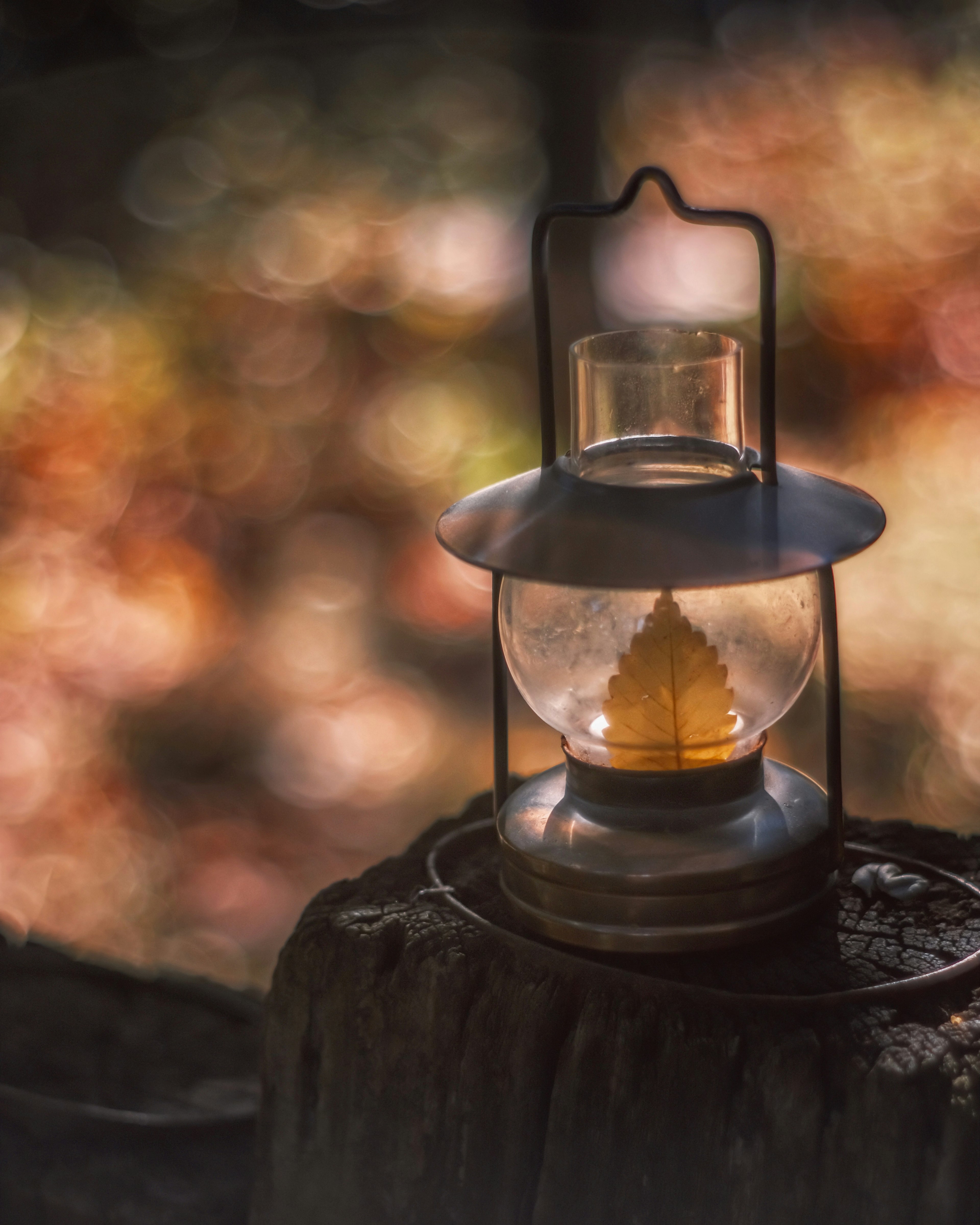 A beautiful lantern placed on a wooden stump with a blurred background