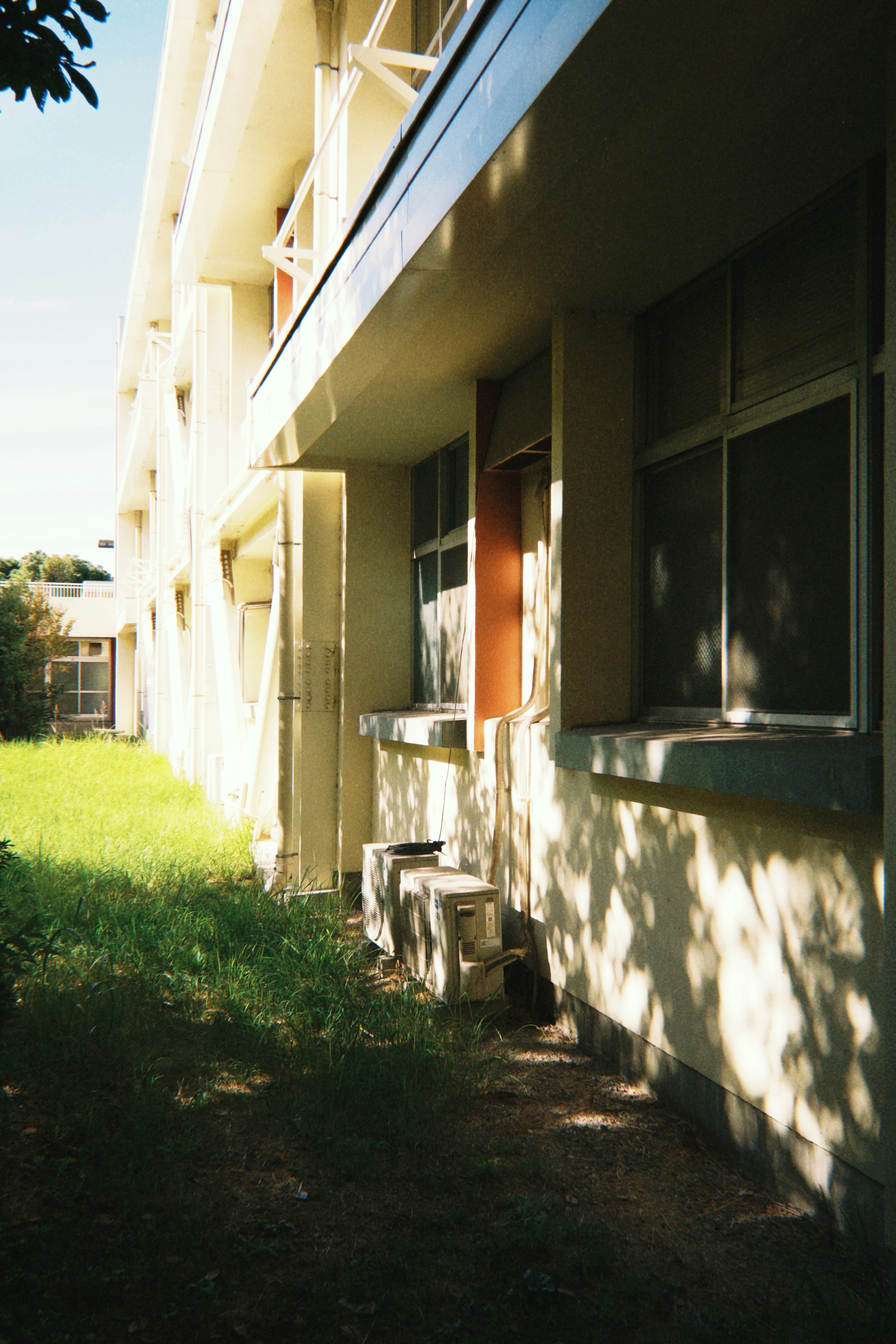 Sunlit exterior of an old building with green grass