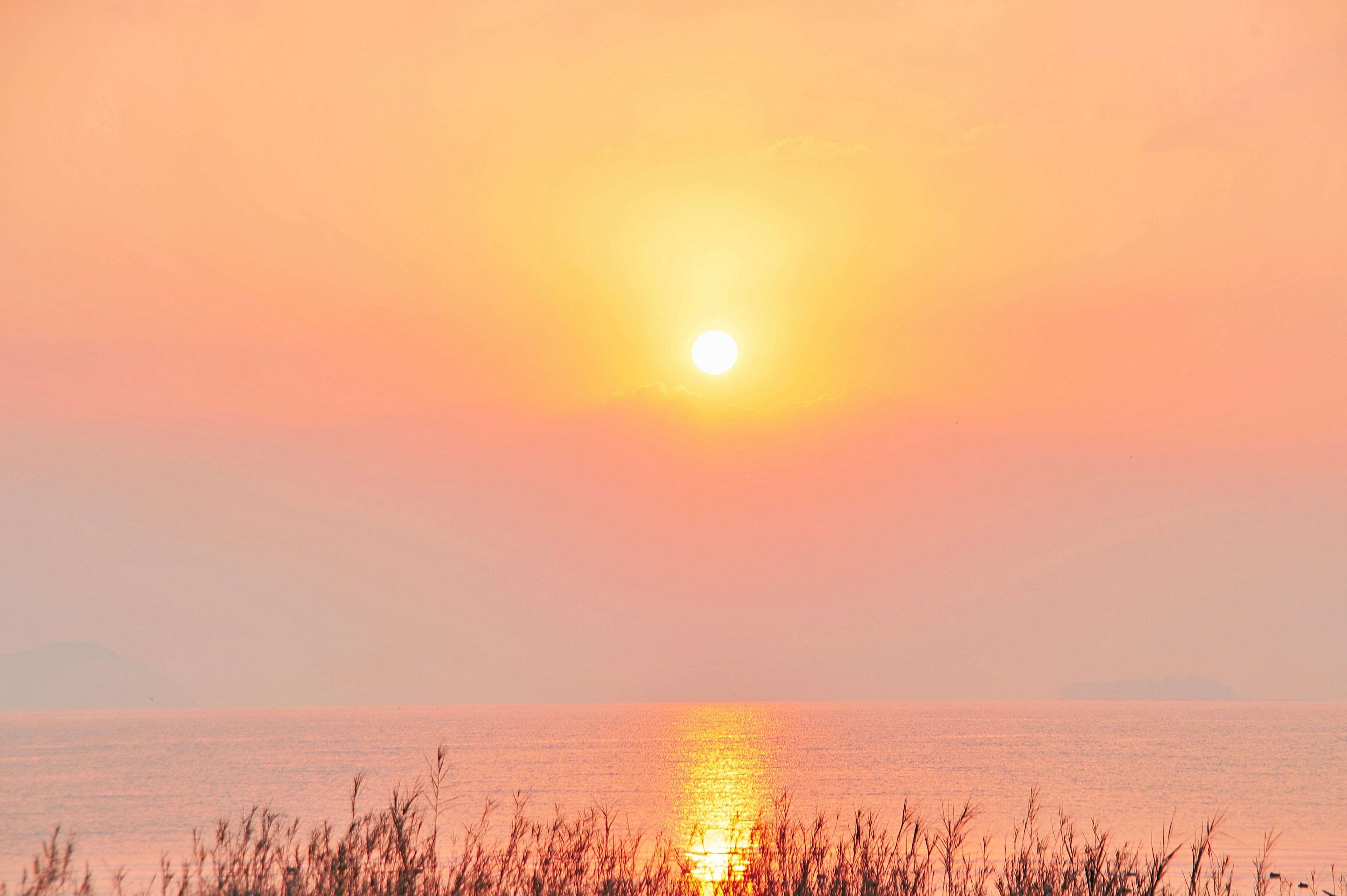 Sunrise over calm water with silhouetted grass