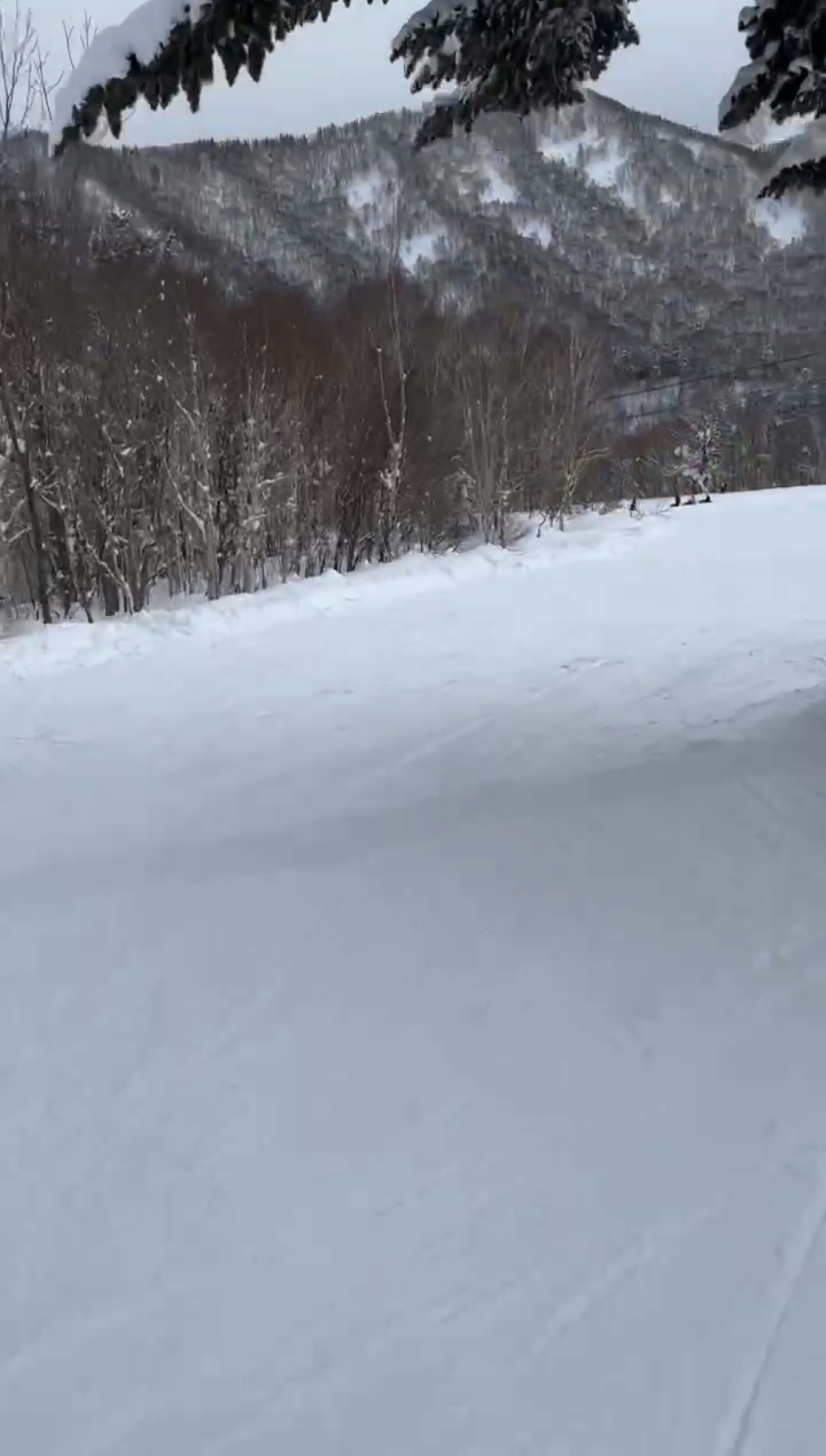 Schneebedeckter Bergweg mit Bäumen und Hügeln