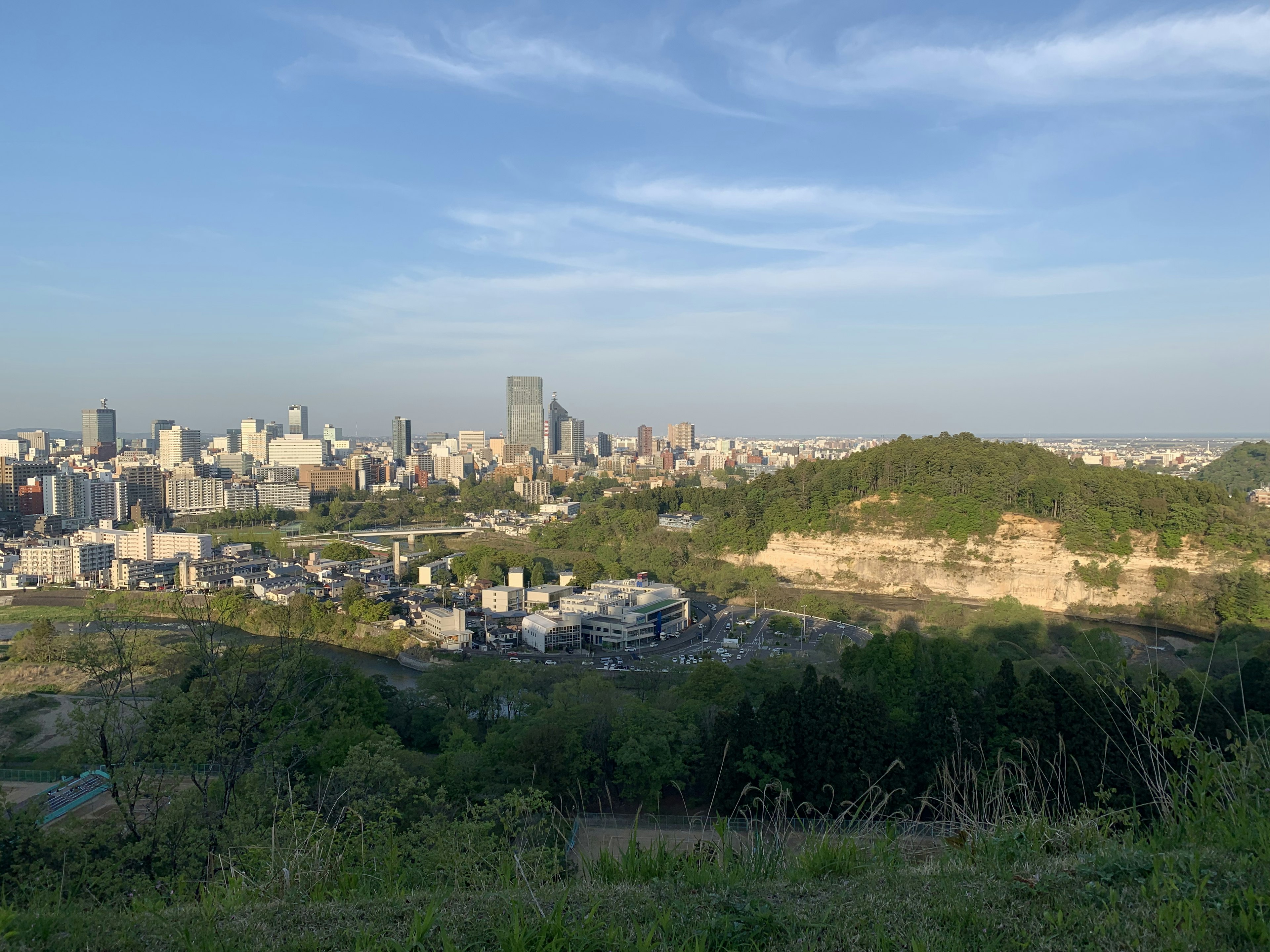 都市の景色と緑の丘の眺め