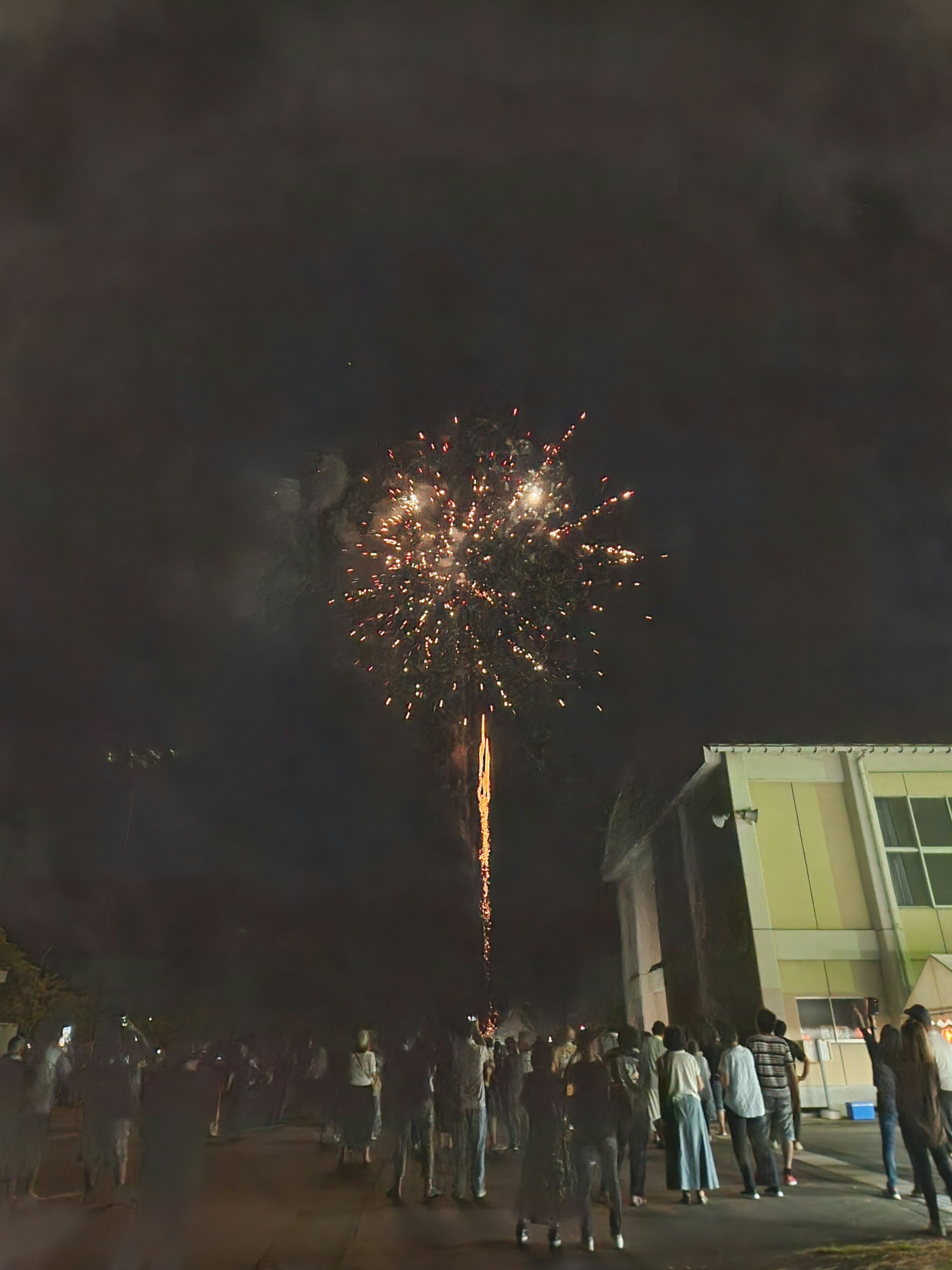 Fuochi d'artificio che esplodono nel cielo notturno con silhouette di spettatori