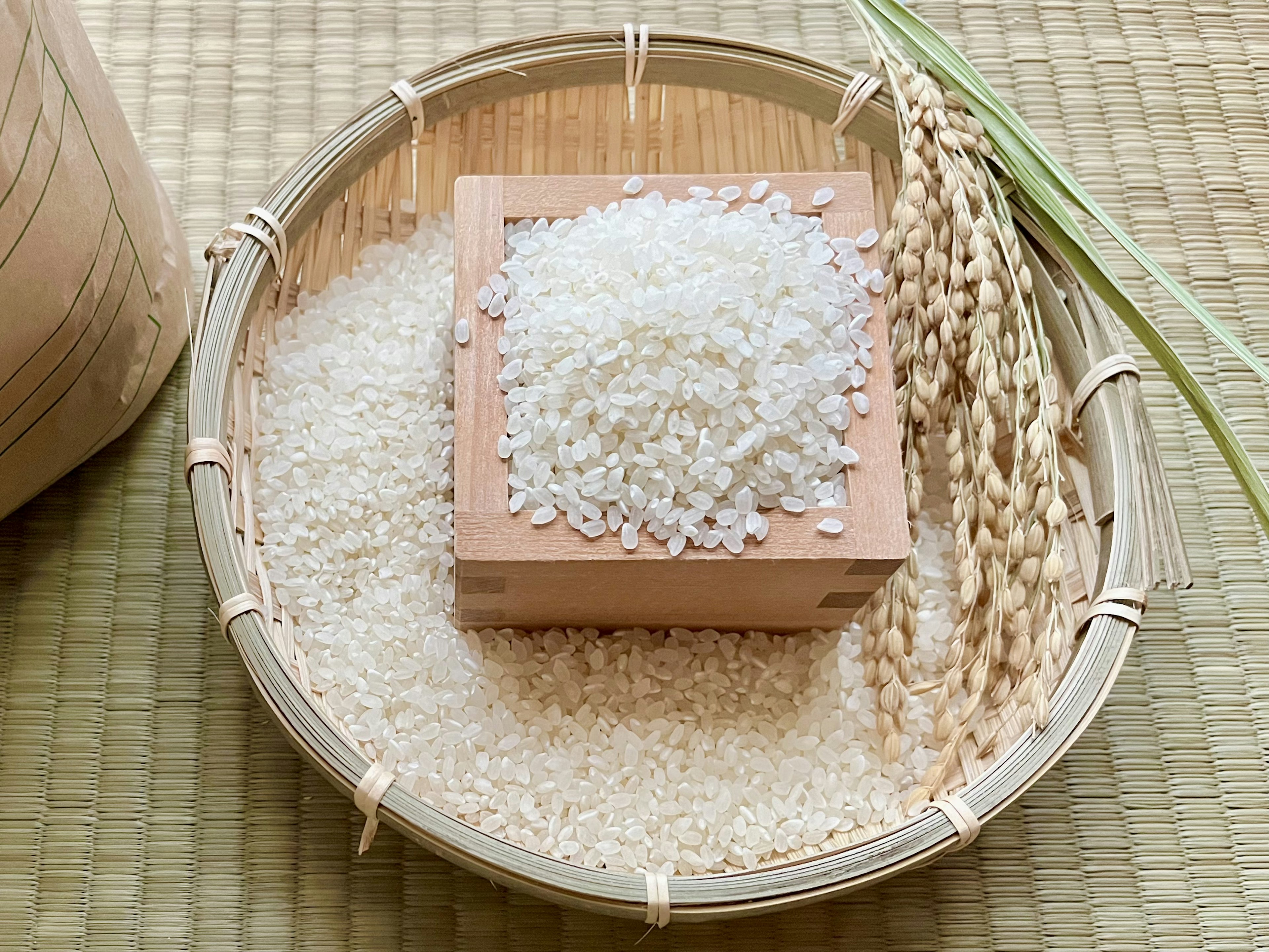 A wooden box filled with white rice surrounded by loose rice and rice stalks