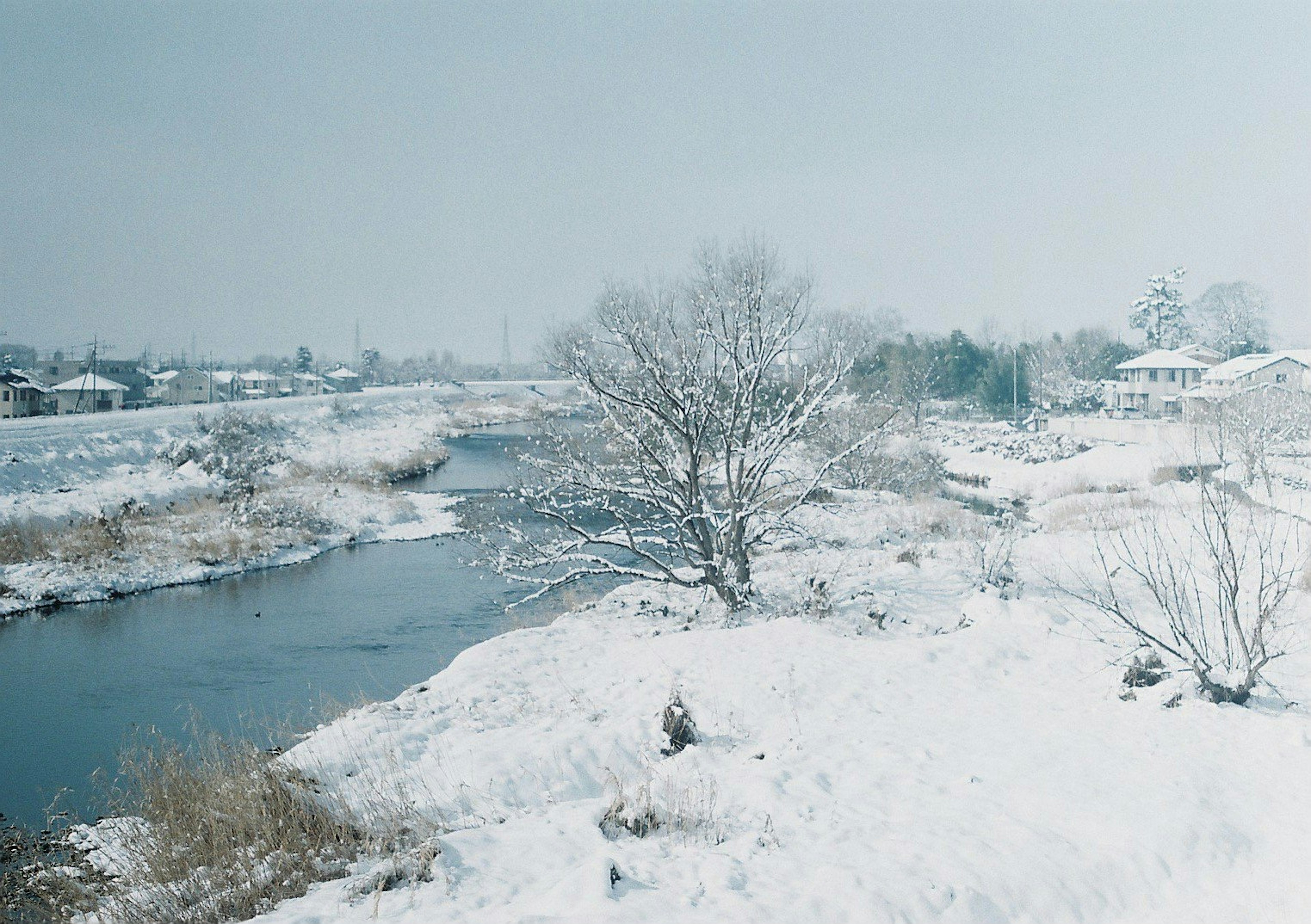 Paisaje de río cubierto de nieve con árboles