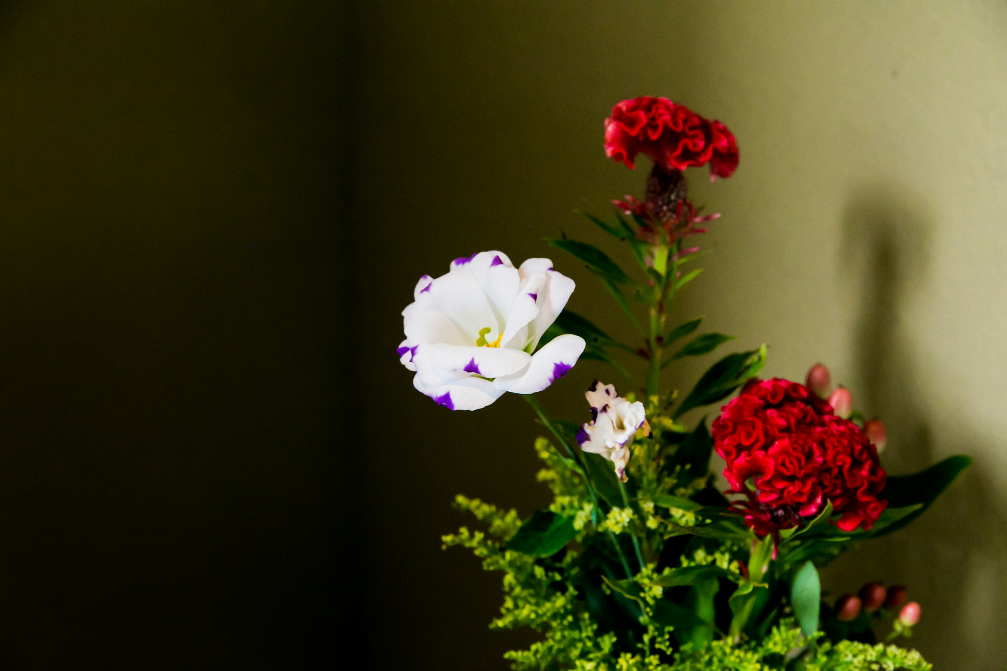 A bouquet featuring a white flower and red flowers arranged in a vase