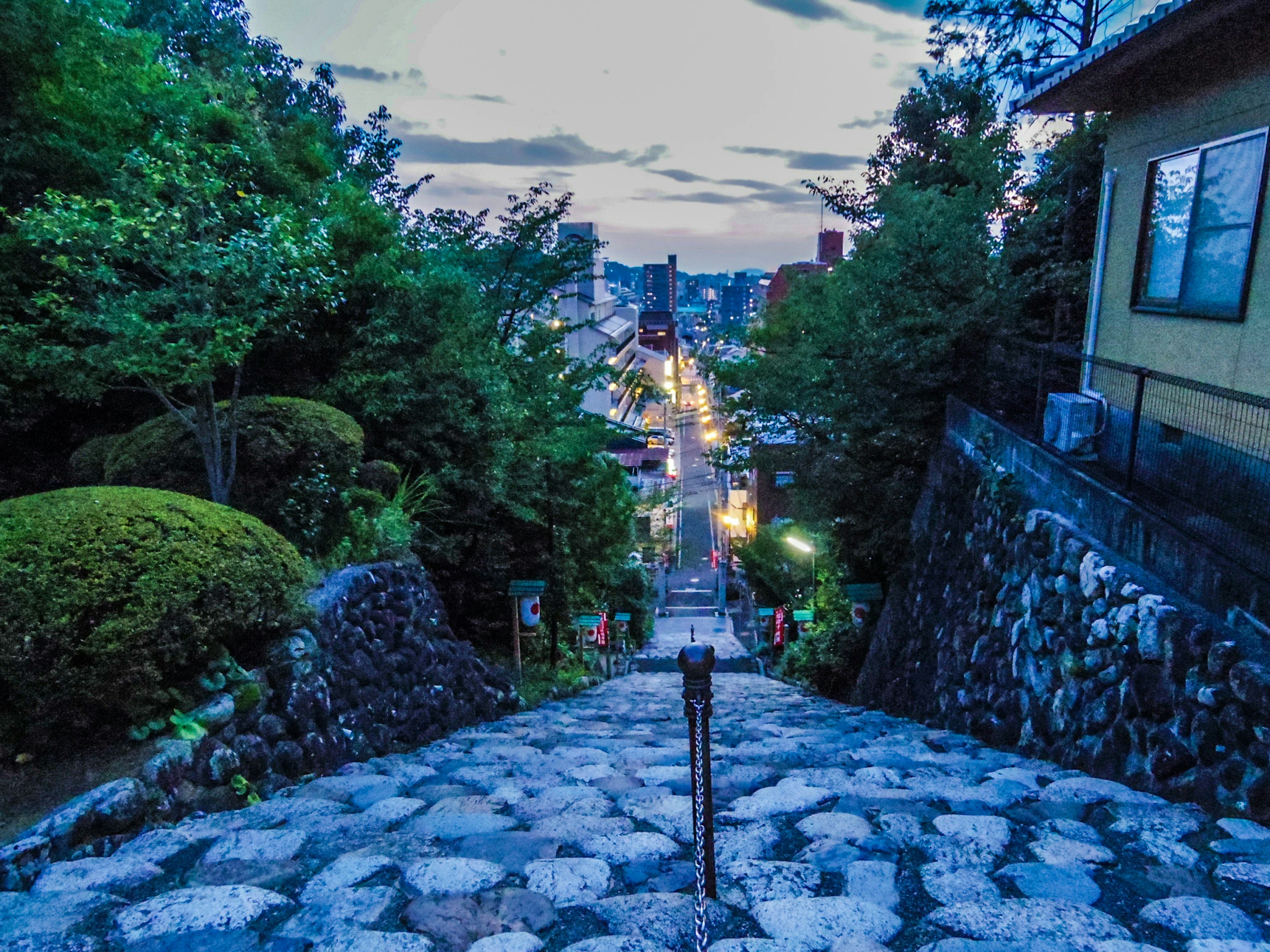 Stone steps leading down a hillside with lush greenery at dusk