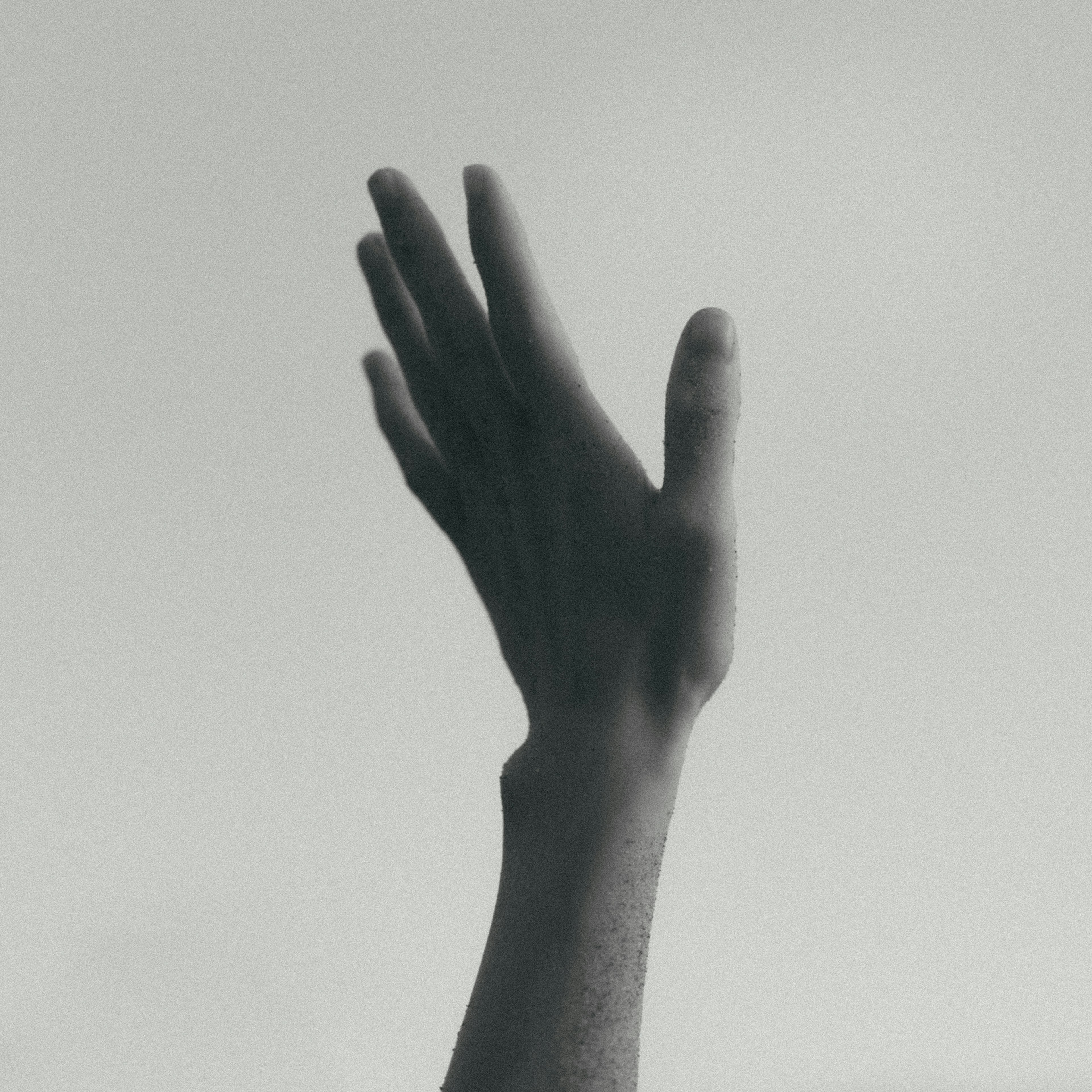 Black and white image of a raised hand