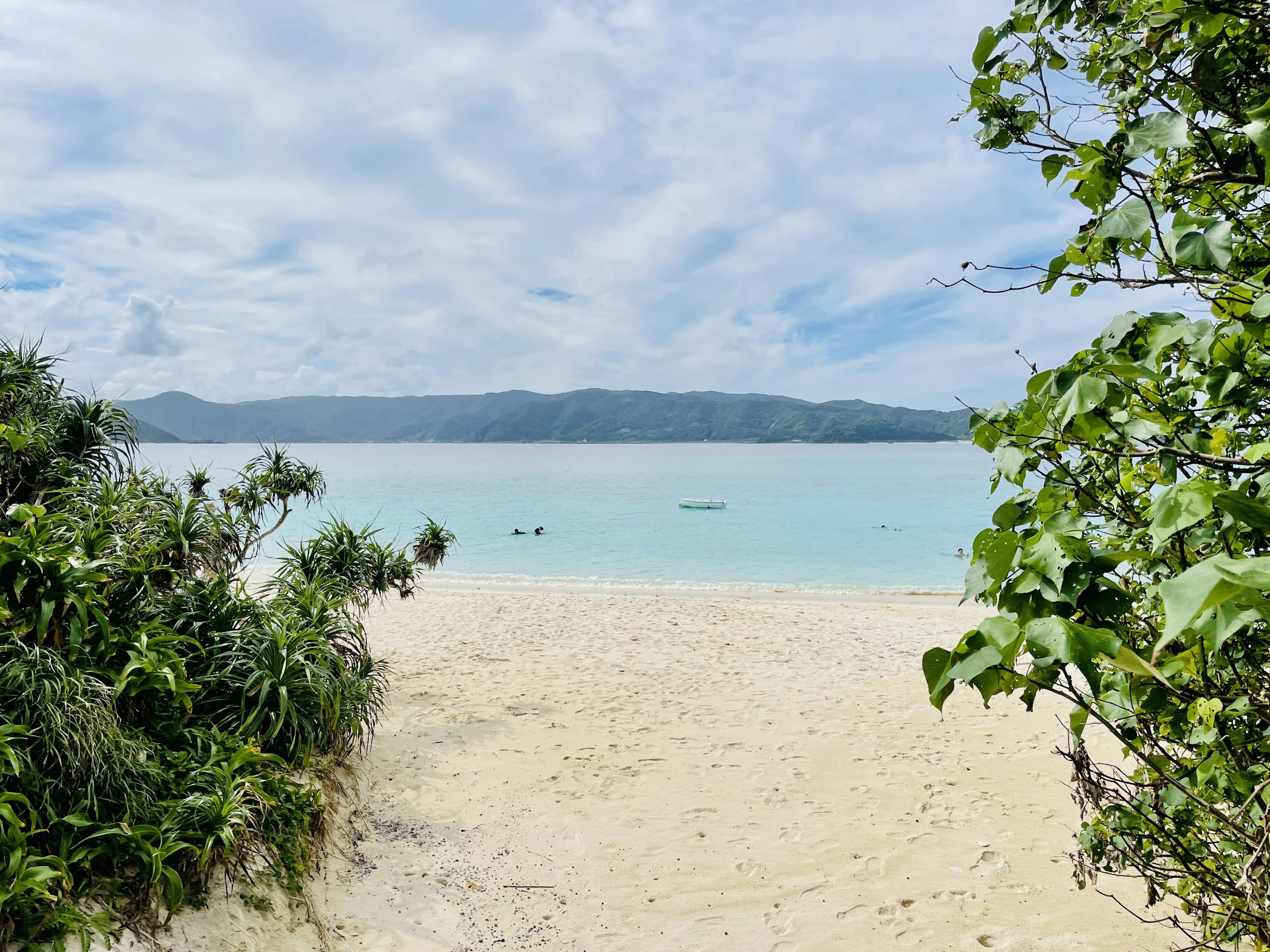 Scenic view of a beach with blue water and white sand framed by lush greenery