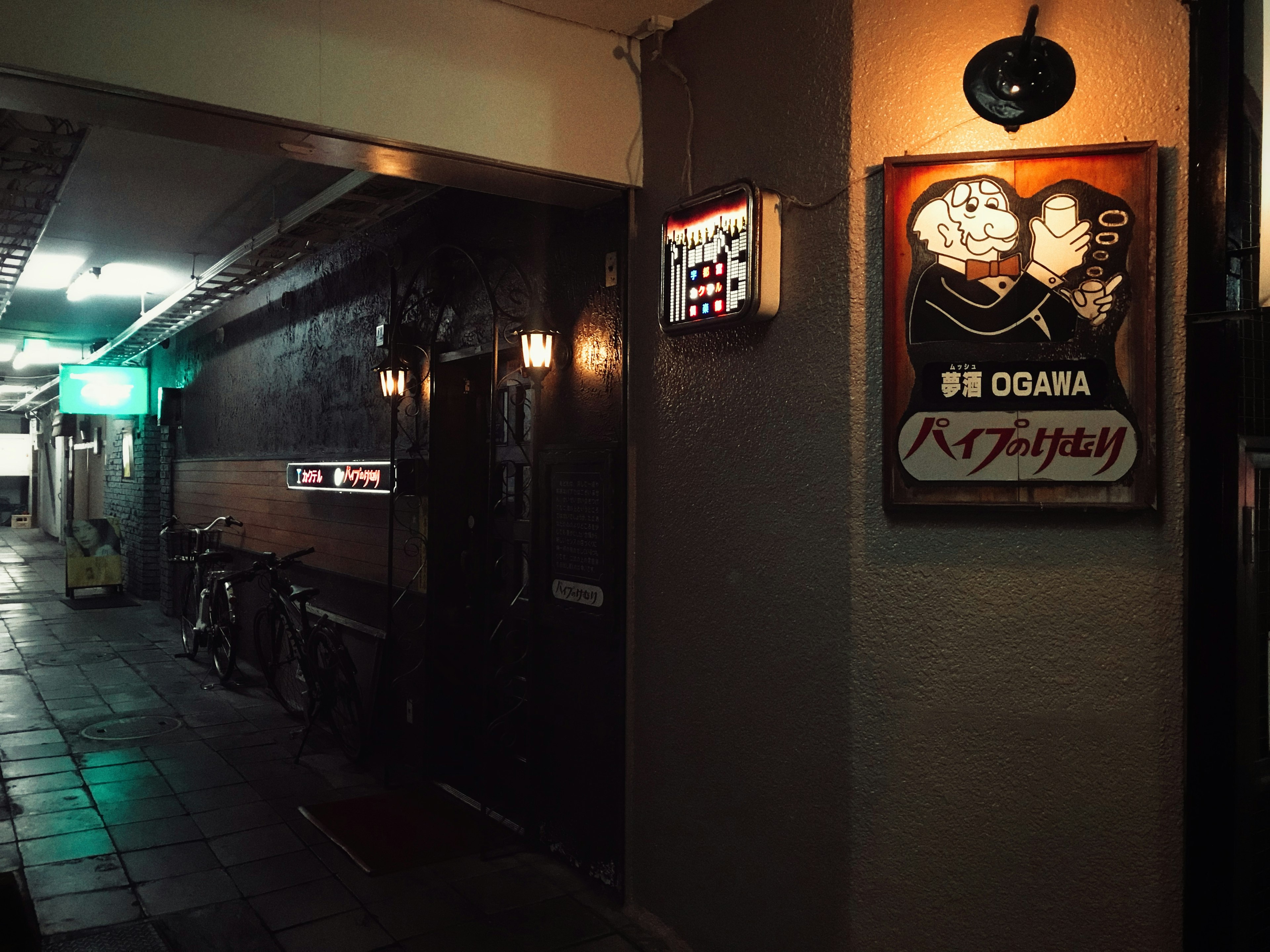 Izakaya sign and lighting on a dimly lit street