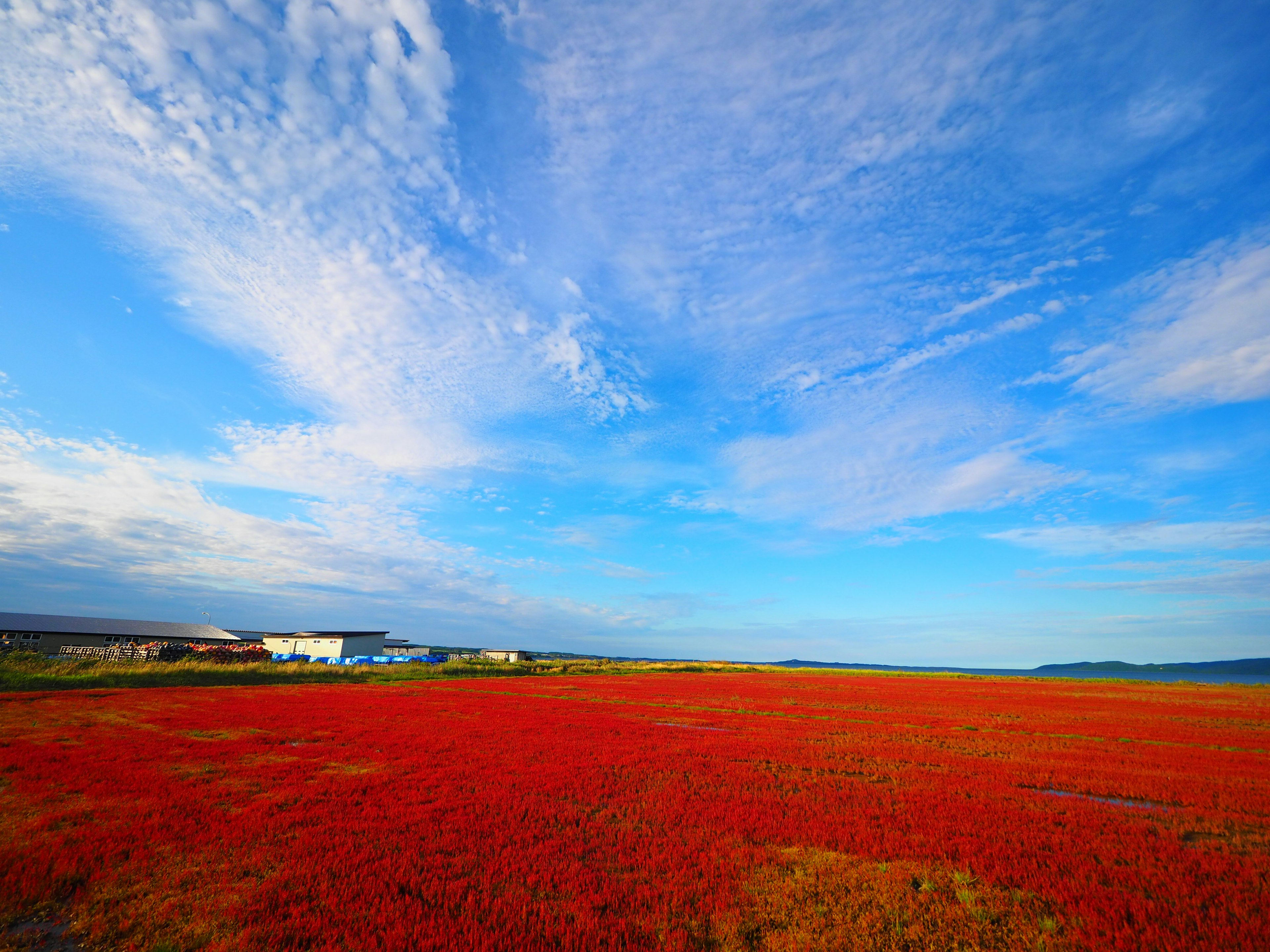 Immense prairie rouge sous un ciel bleu éclatant