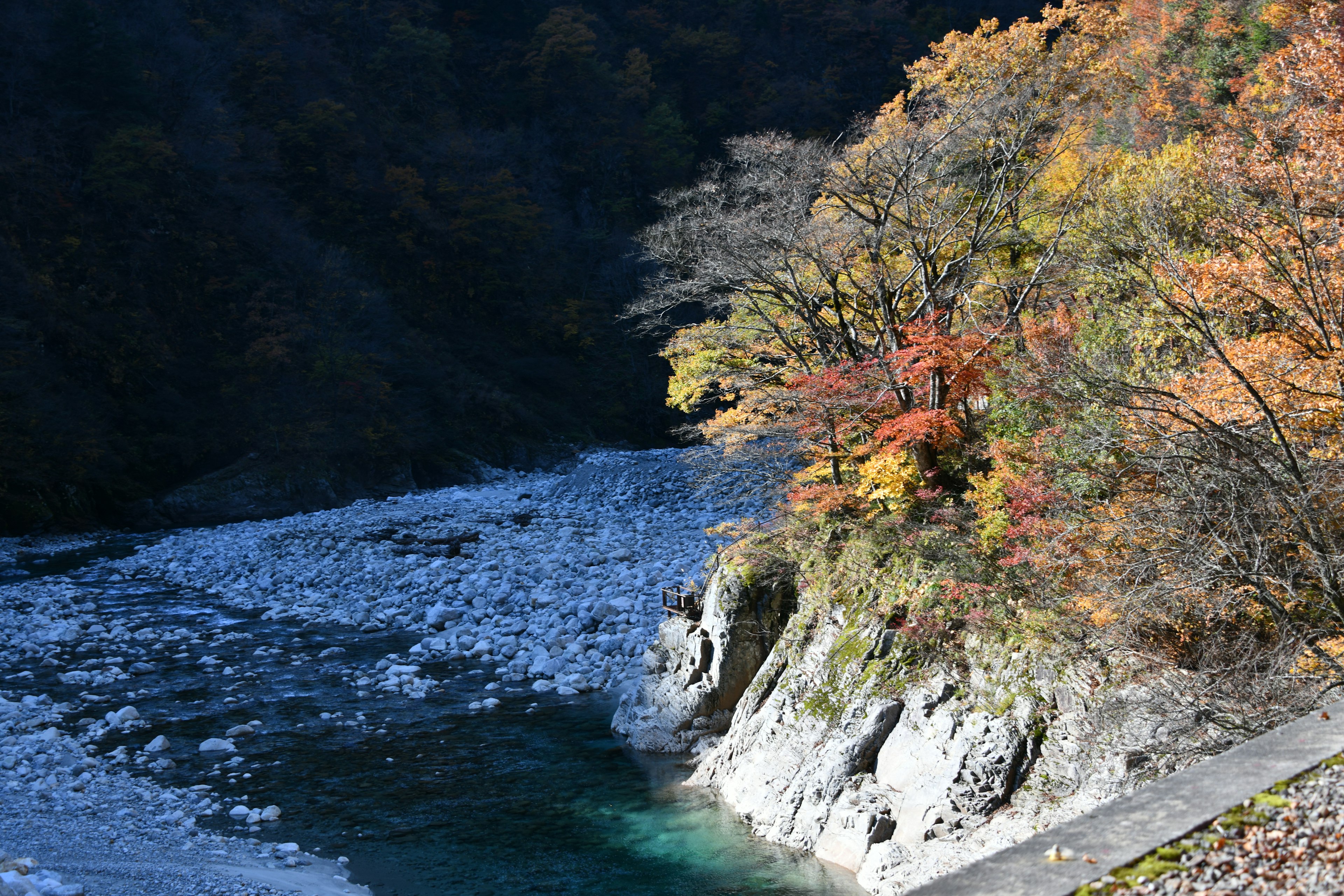 Vista panoramica della riva del fiume con foglie autunnali colorate