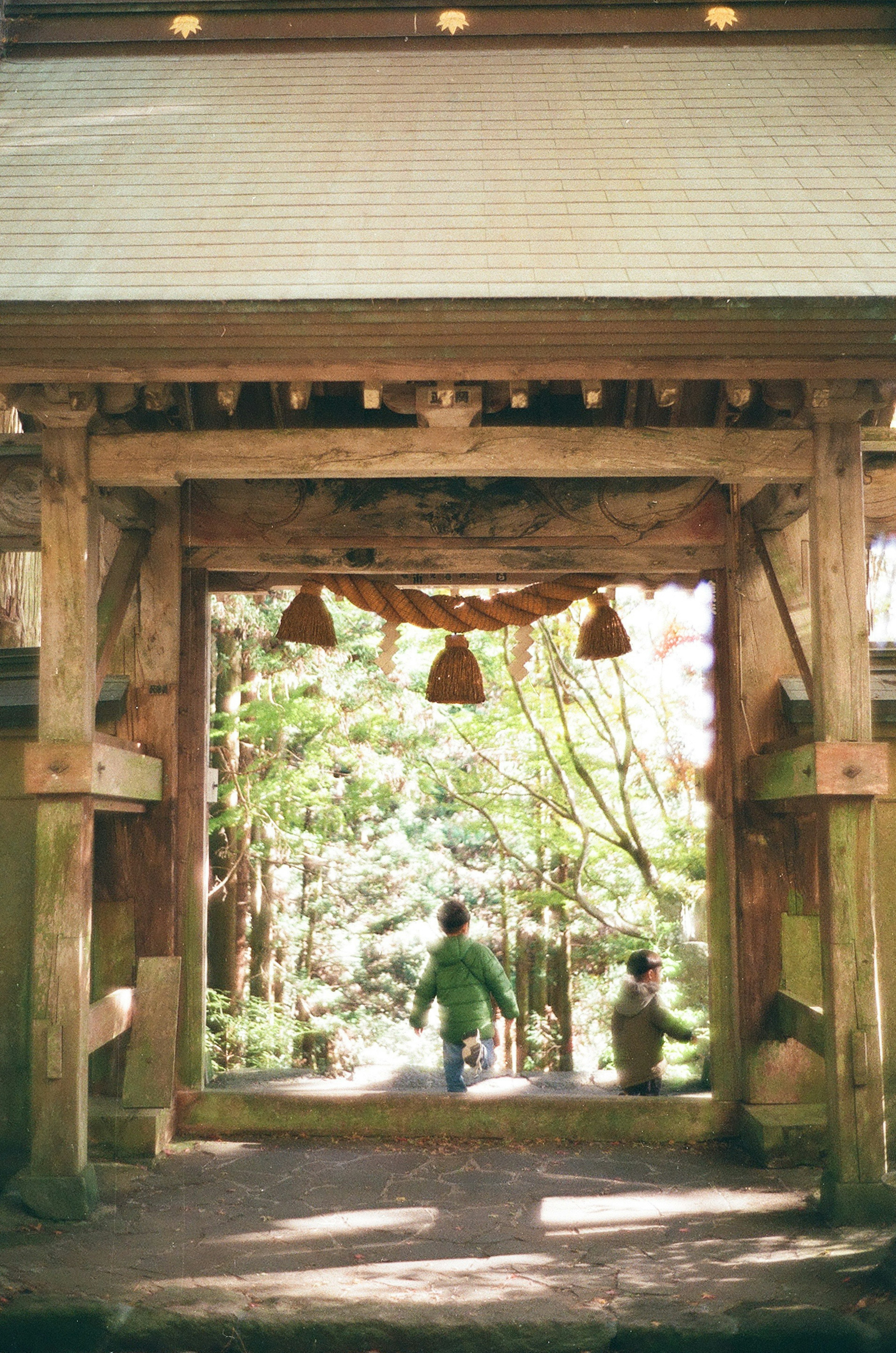 Children walking through a shrine gate surrounded by lush greenery