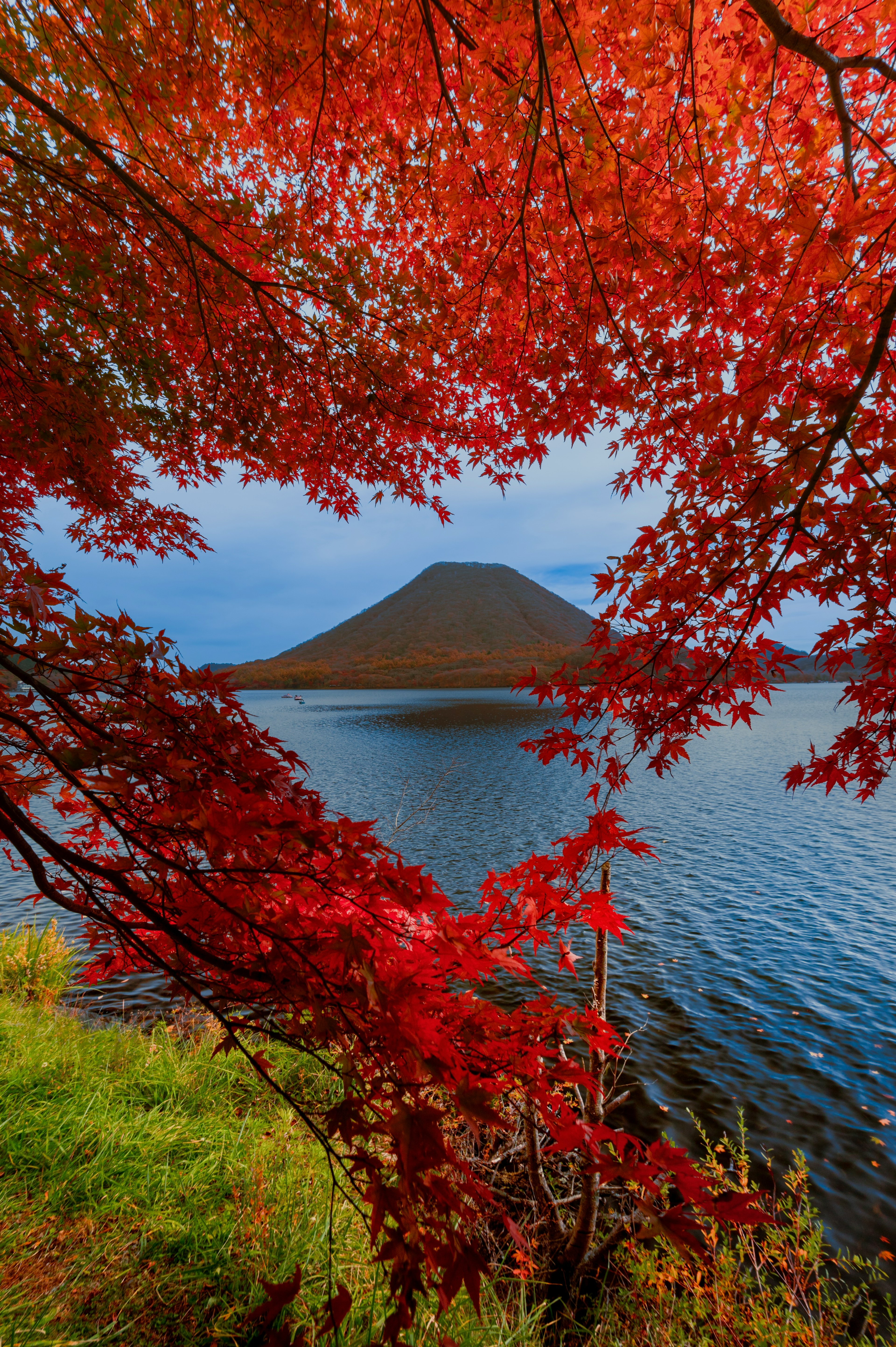 Scenic view of a lake framed by vibrant autumn leaves and a mountain