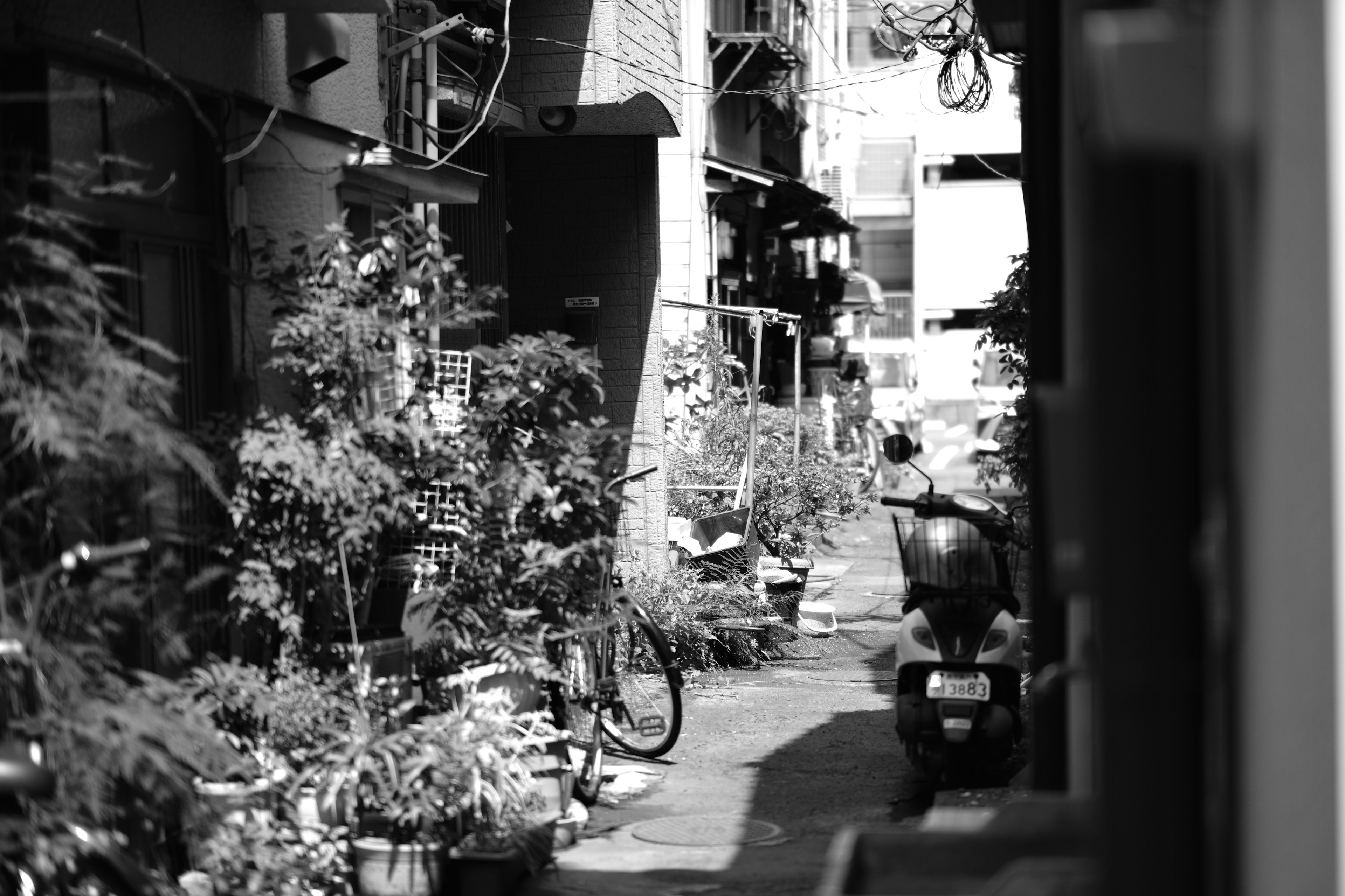 Narrow black and white alley with greenery bicycles and a scooter