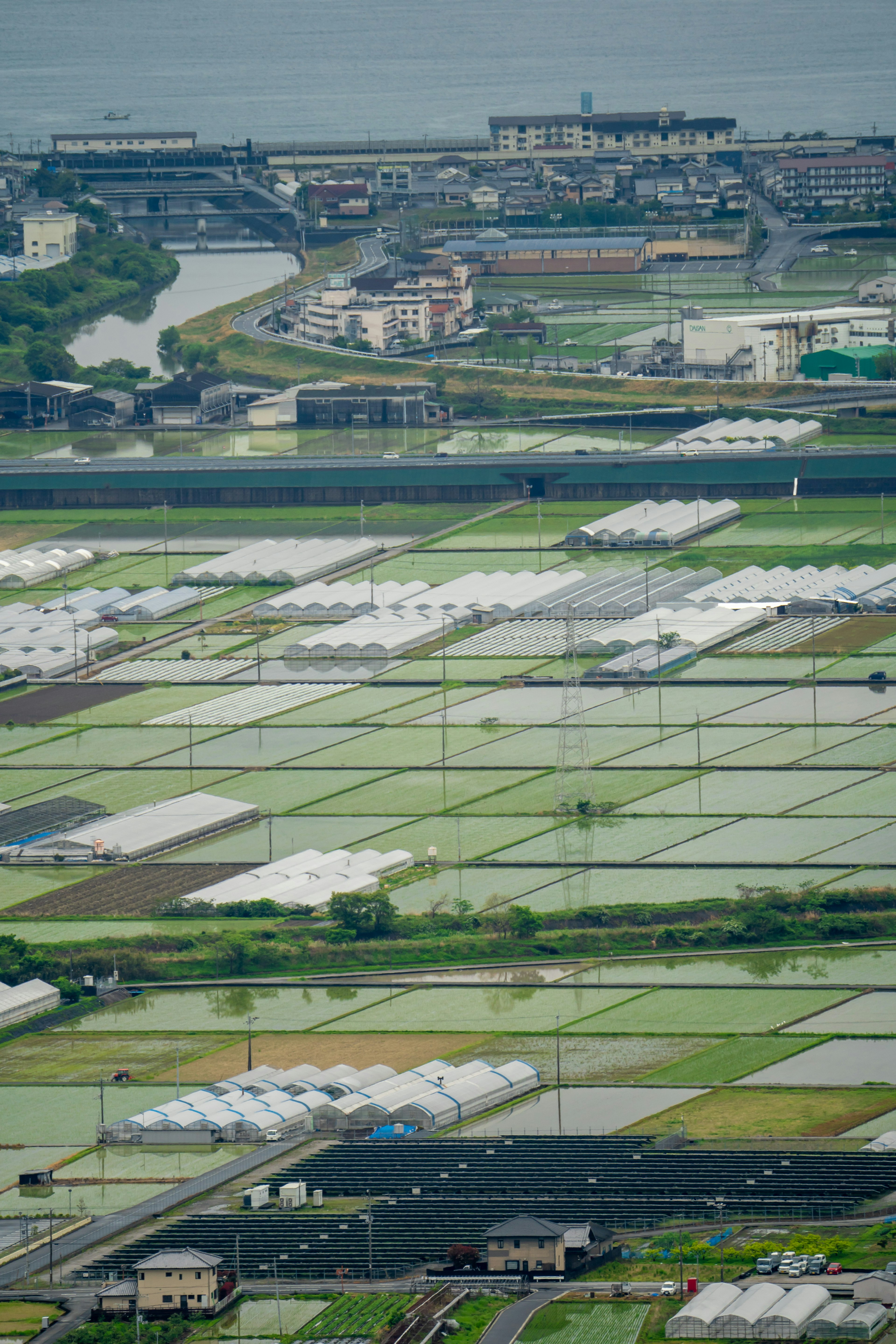 鸟瞰稻田和温室，背景是城市风景