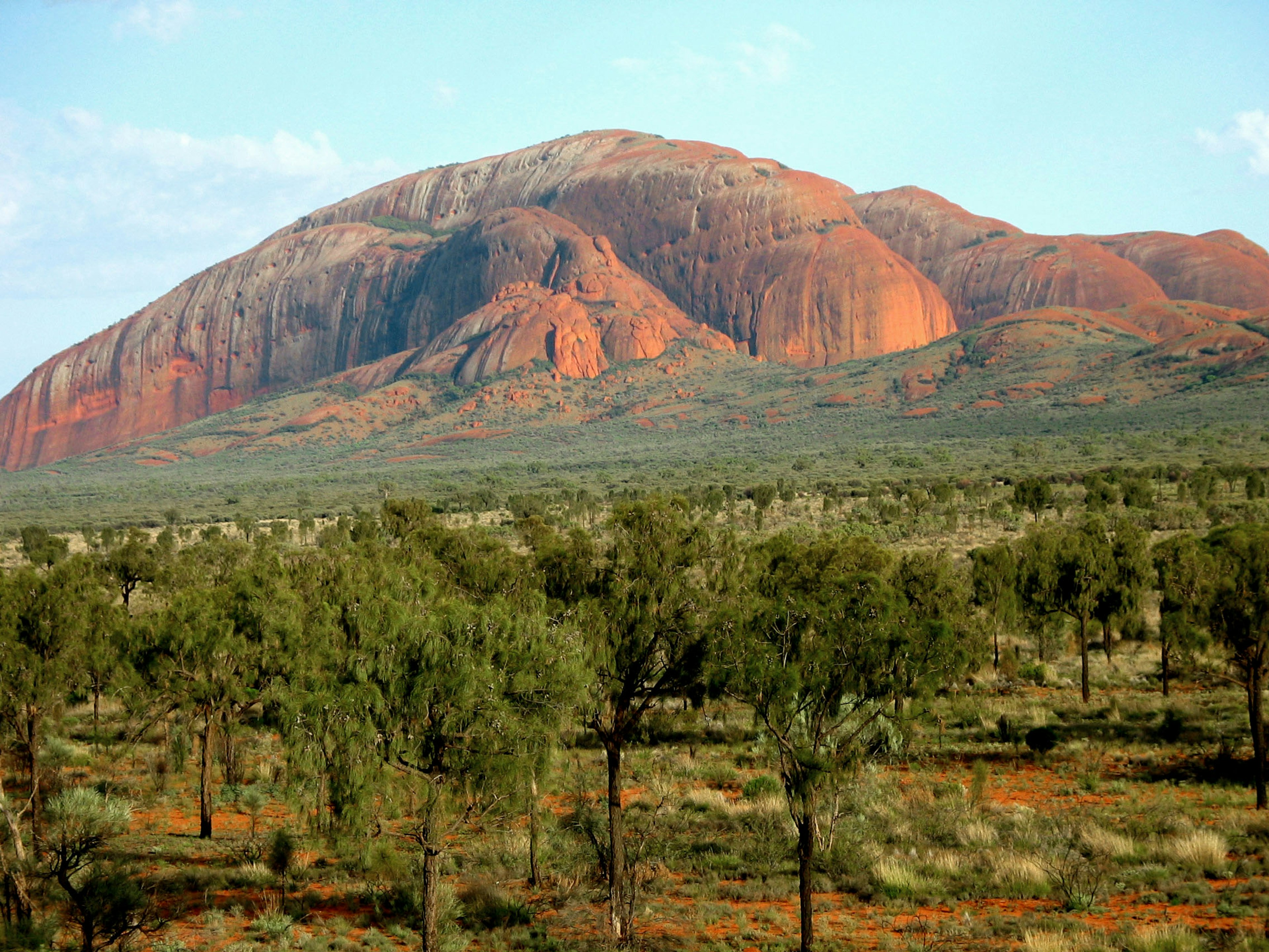 Cảnh quan tuyệt đẹp của Uluru ở Úc với các khối đá đỏ và cây xanh