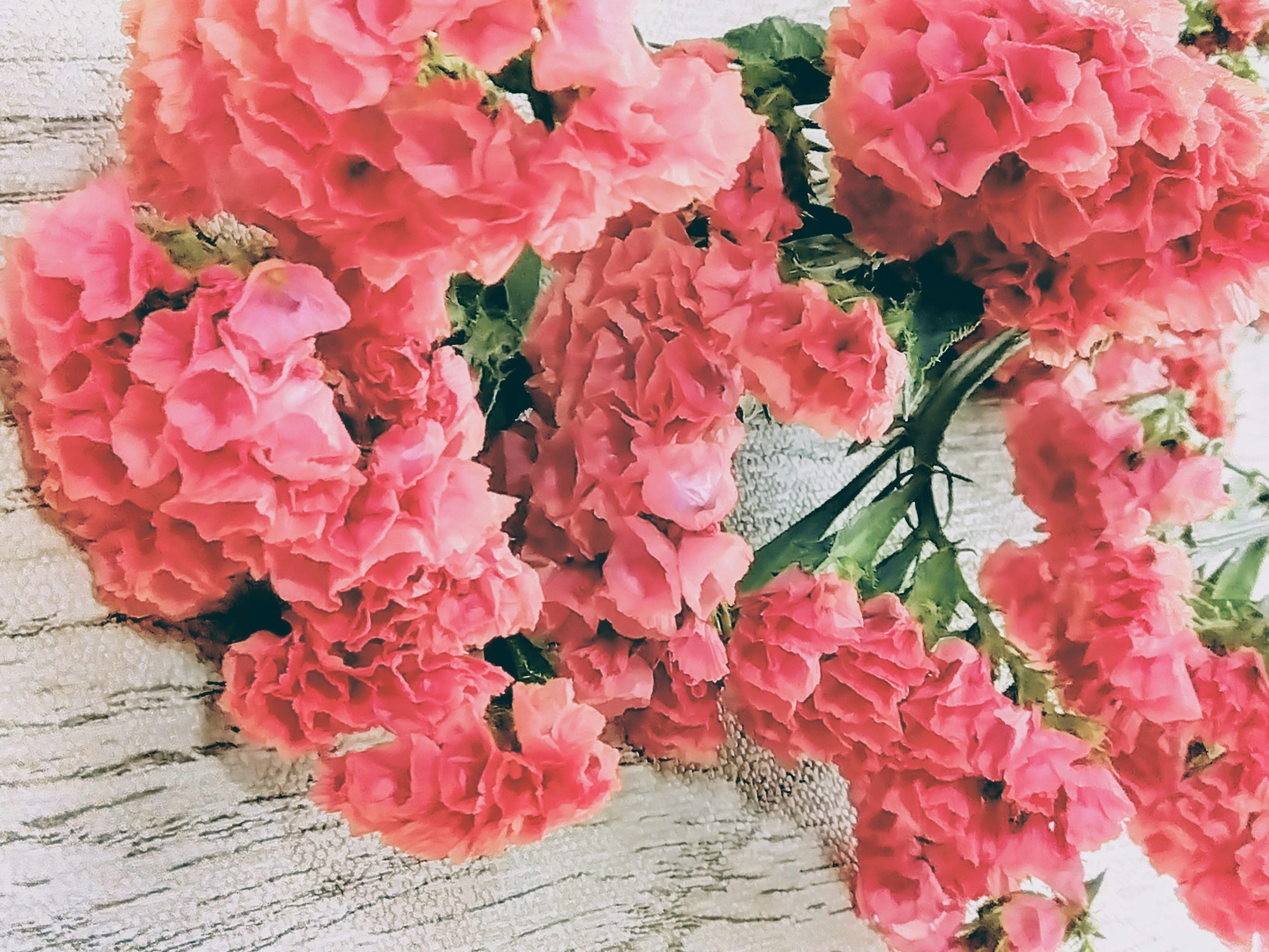 Bright pink flowers arranged on a wooden table