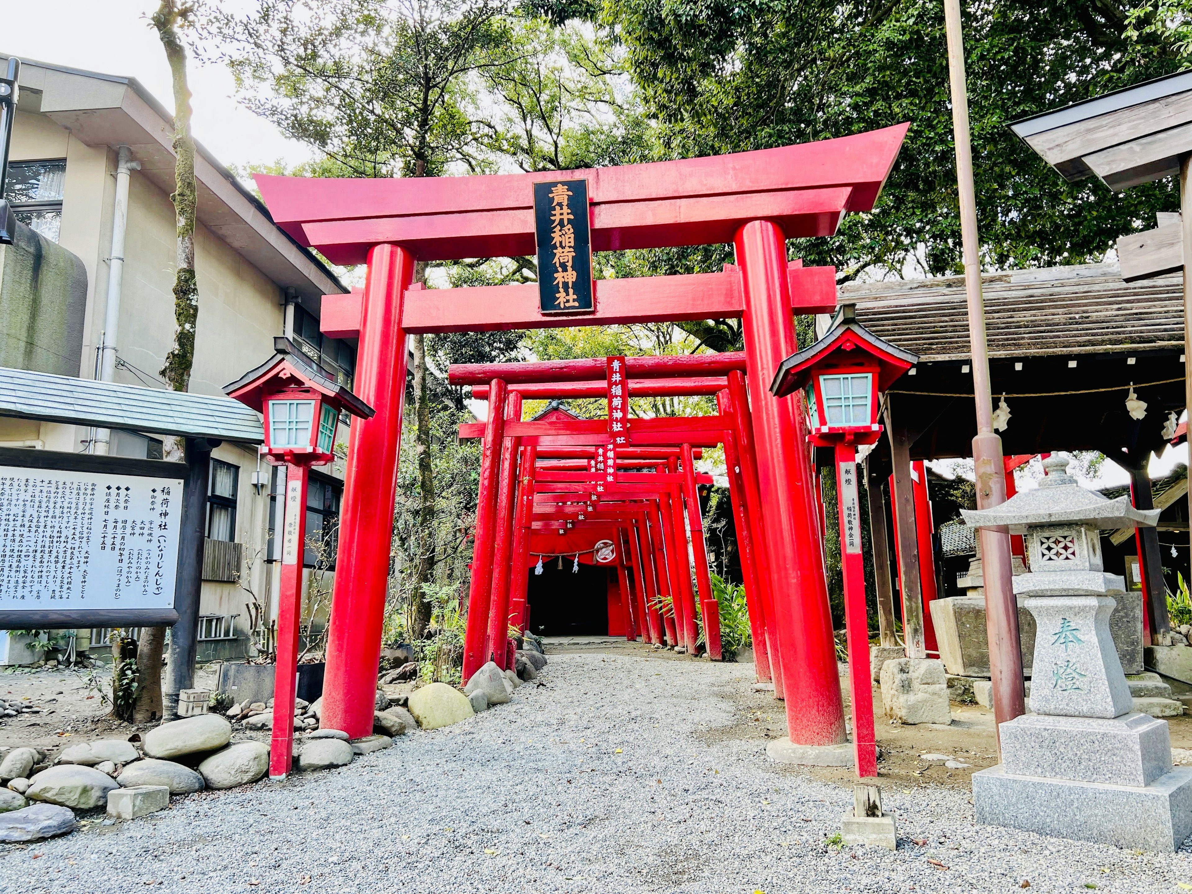 赤い鳥居が並ぶ神社の参道で石の道と提灯が見える