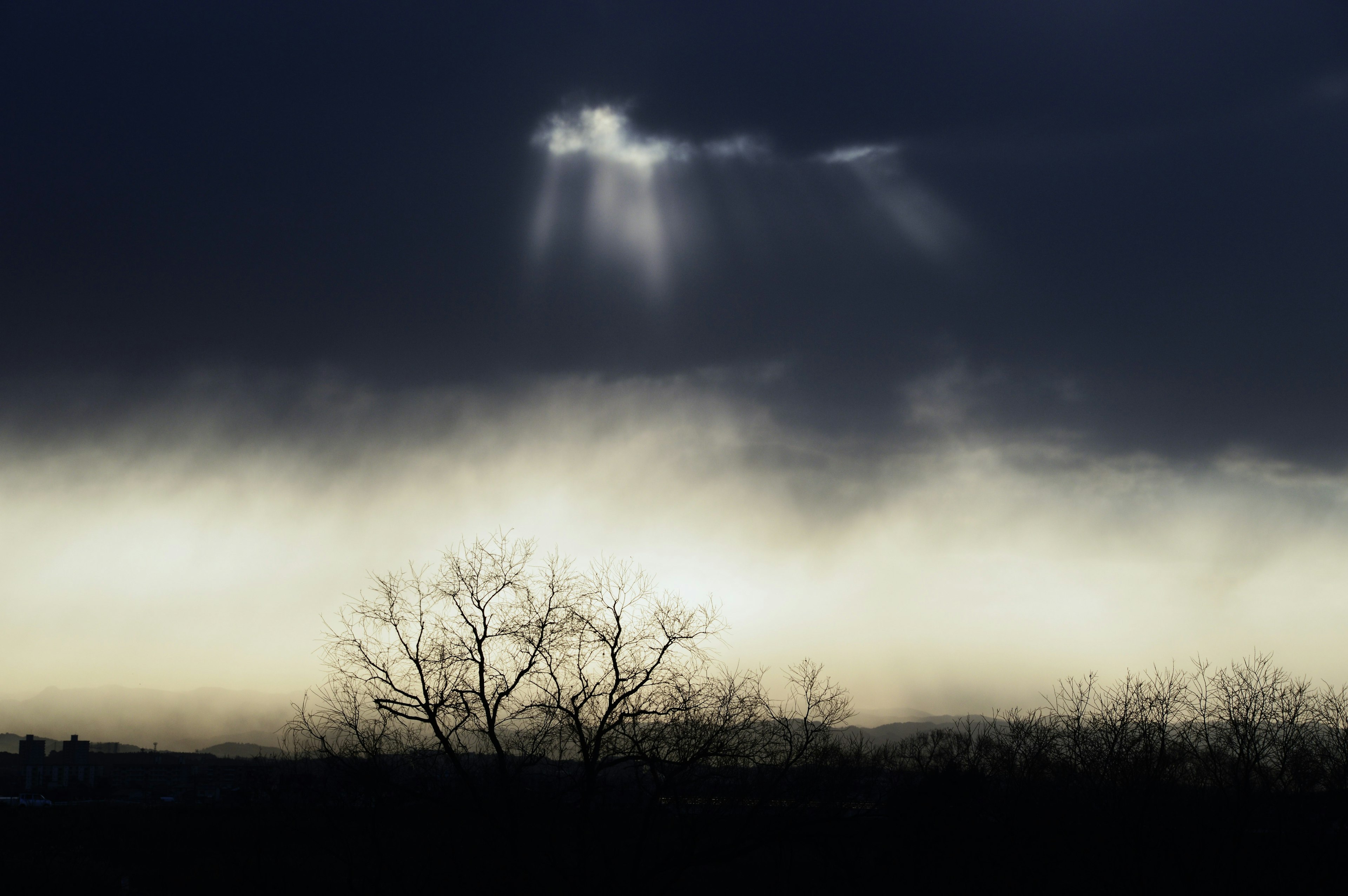 Luce che filtra attraverso nuvole scure con alberi in silhouette