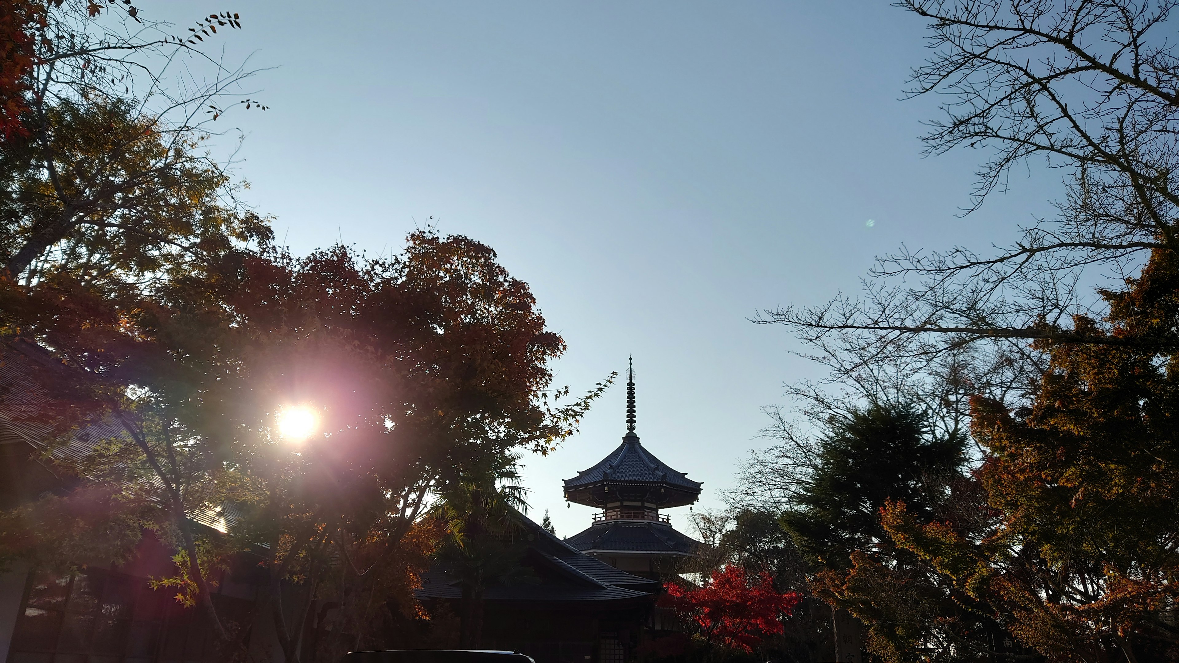 Bâtiment japonais traditionnel avec des arbres colorés au premier plan et un lever de soleil en arrière-plan