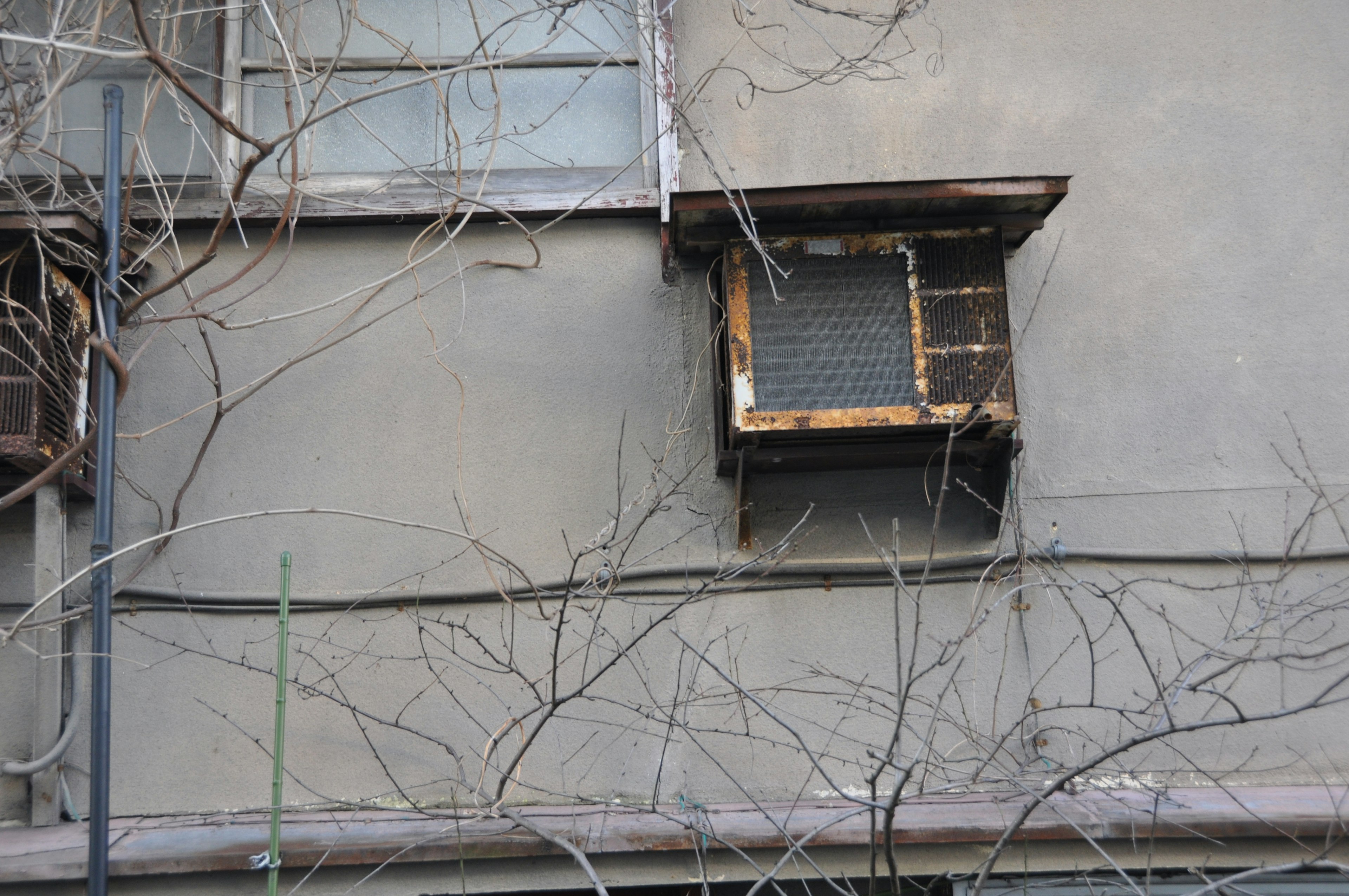 Old air conditioning unit mounted on a gray wall with bare branches