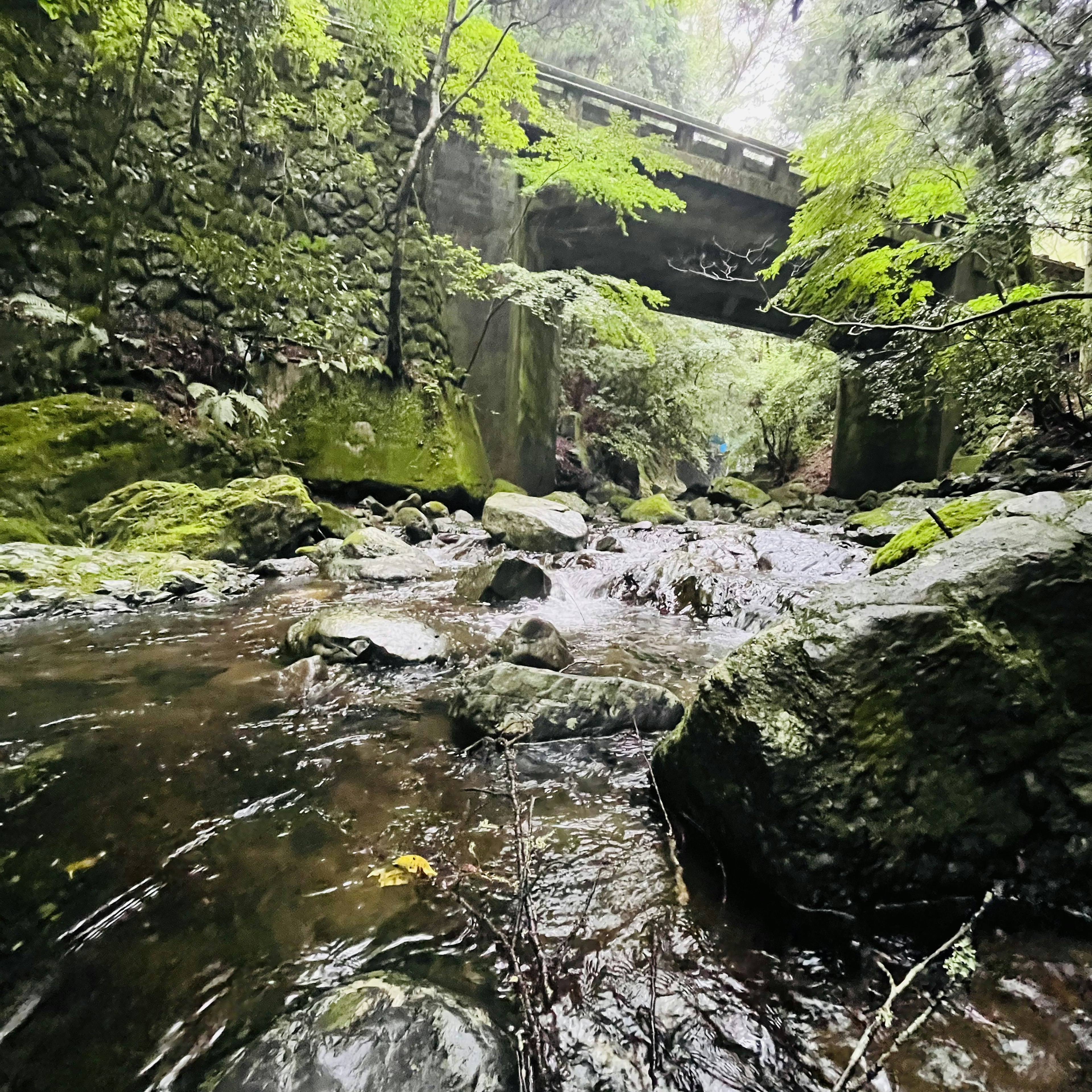 Eine üppige Flusslandschaft mit einer Brücke, die über das Wasser führt, umgeben von Steinen