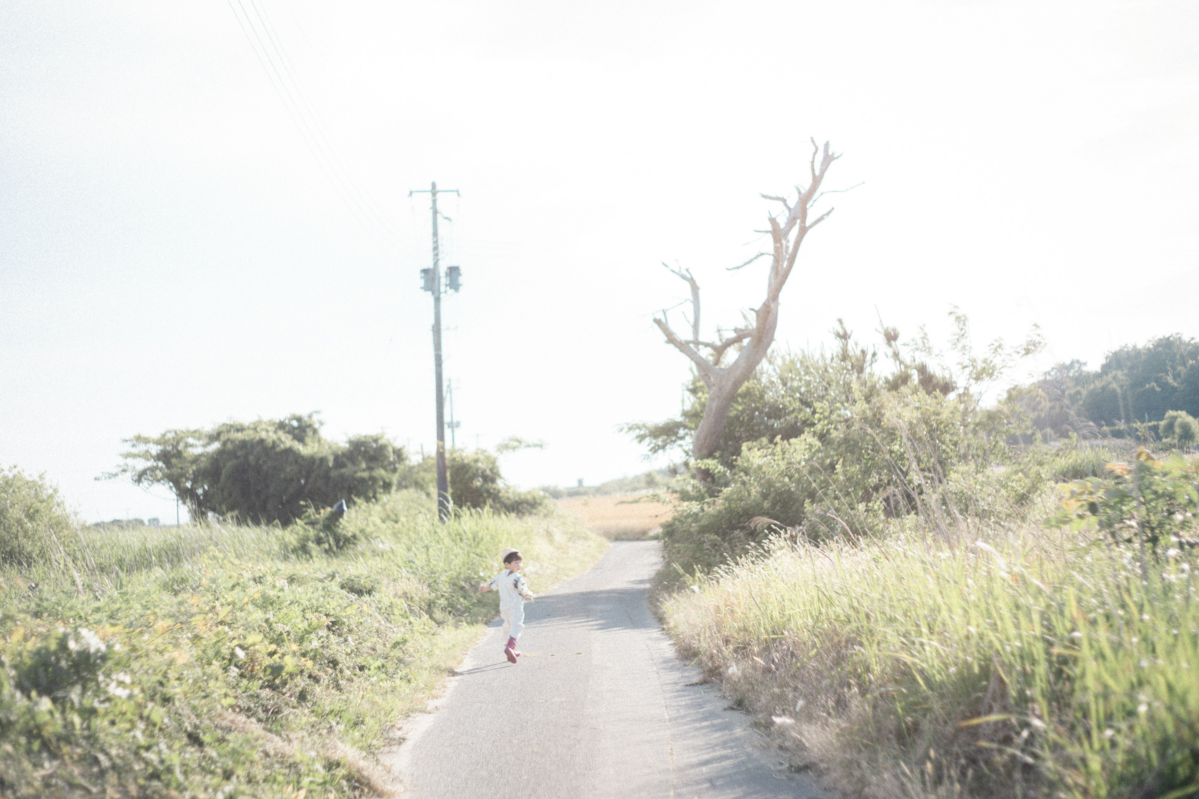 A child walking on a bright road with trees in the background