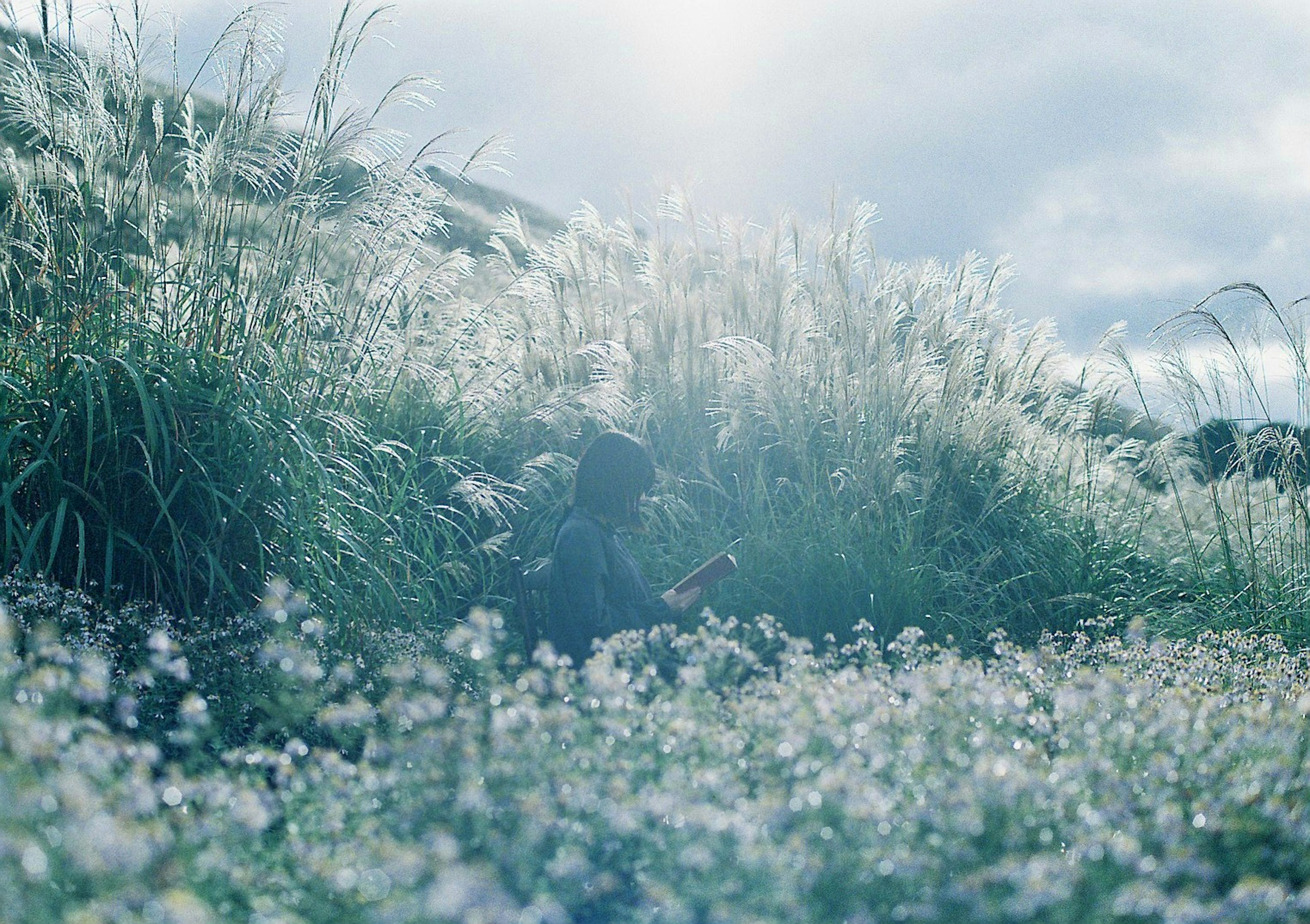 草花に囲まれた人物が静かに座っている風景