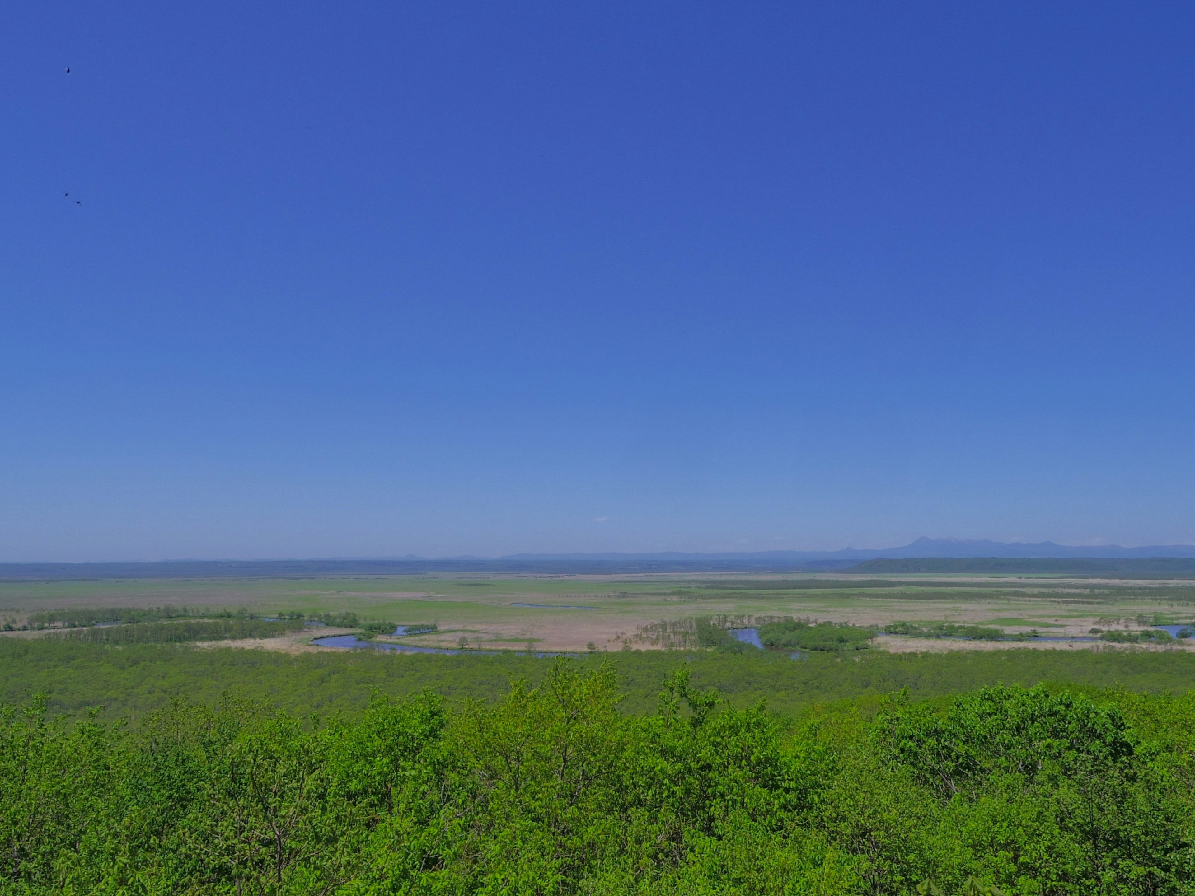 Vue panoramique avec un ciel bleu et un vaste paysage vert