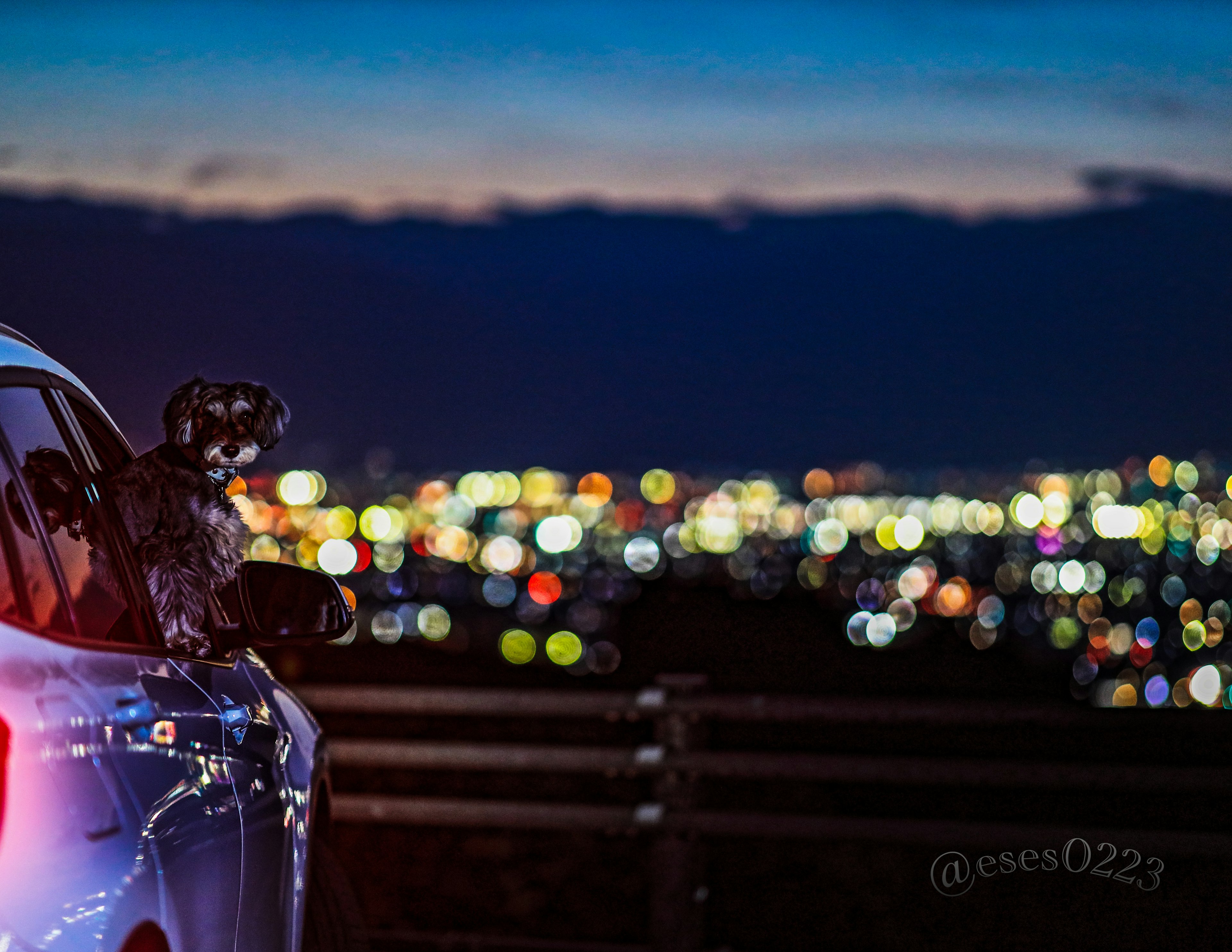 夜景を背景にした車の側面とぼんやりした明かり