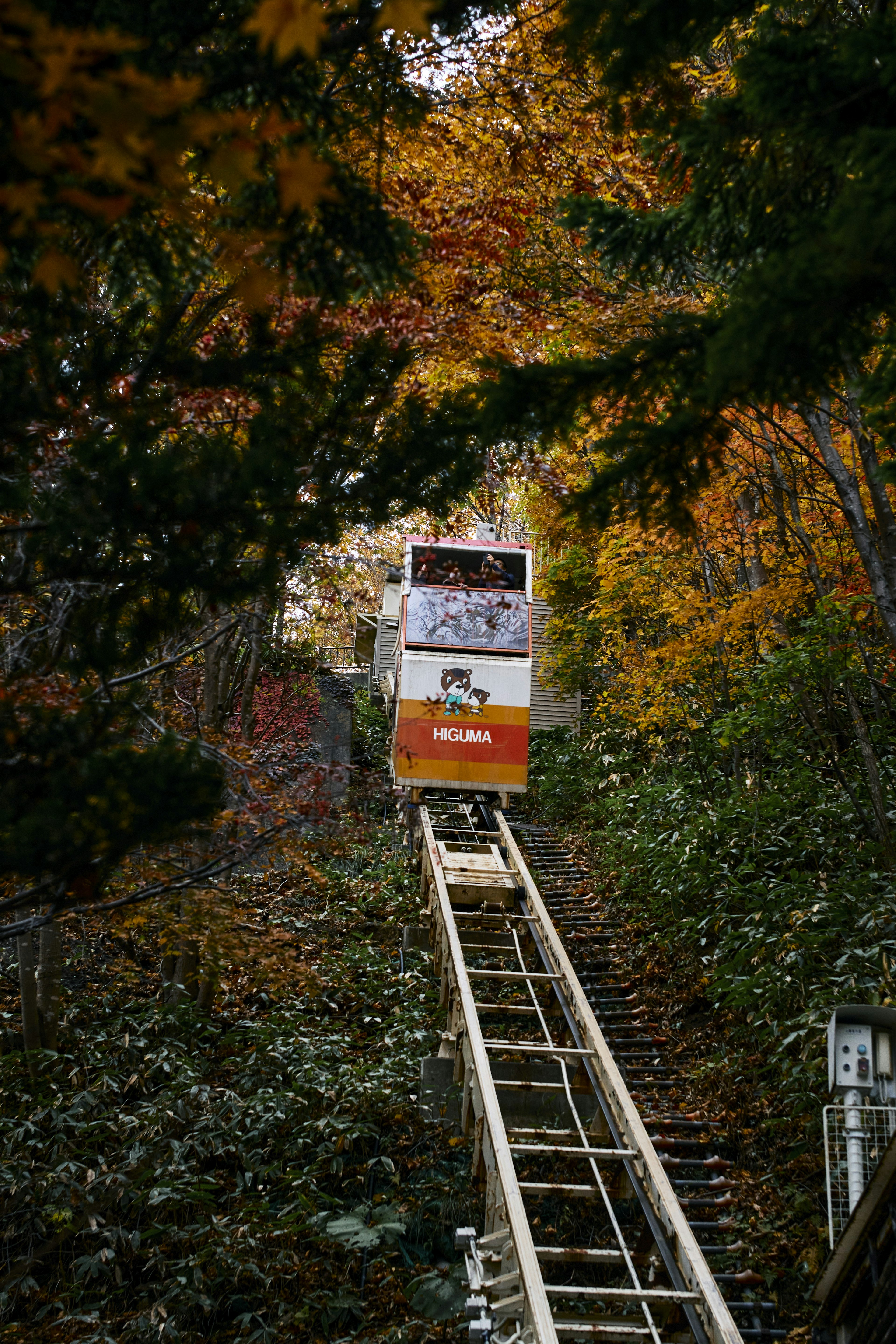 秋の色づいた木々の中を上昇するケーブルカー