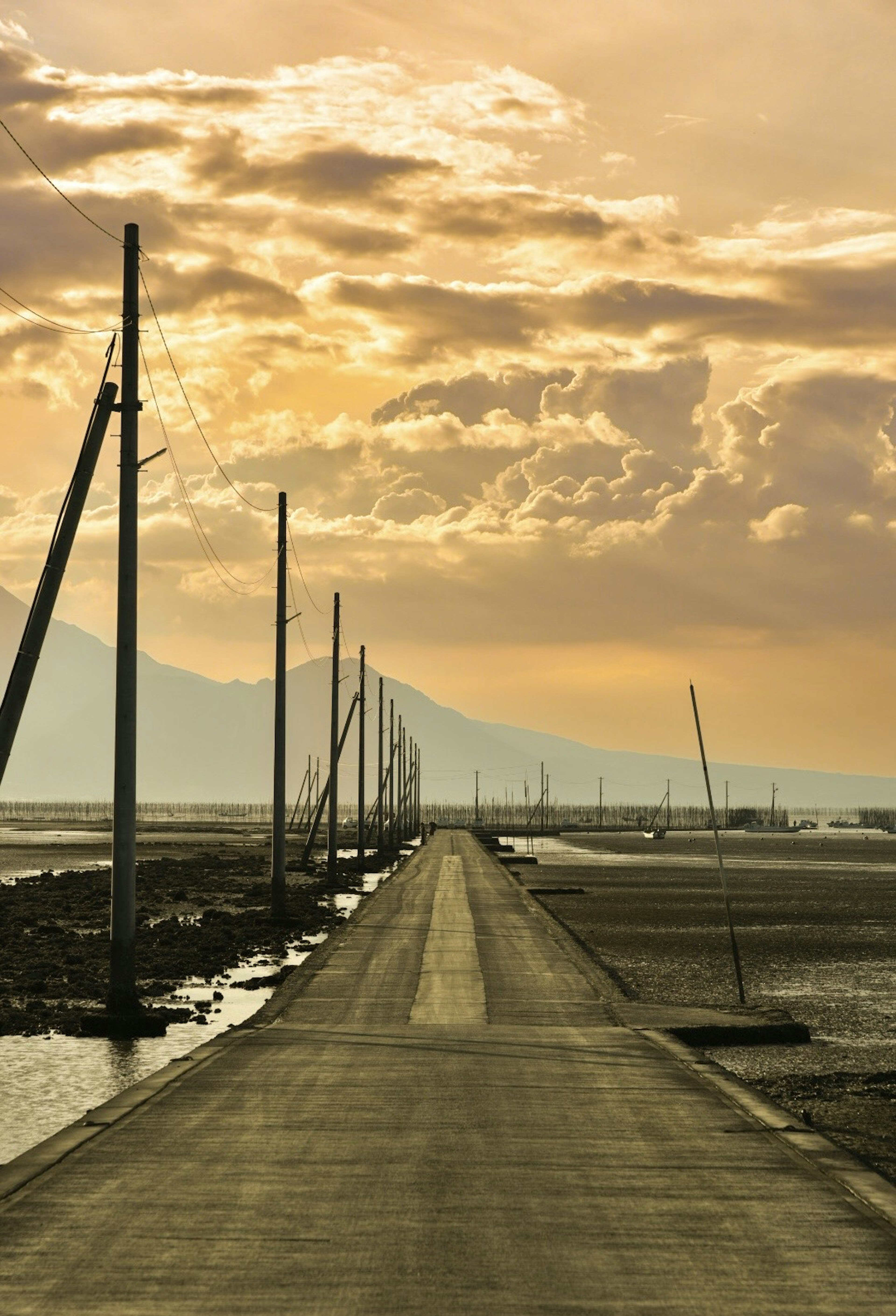 Paved road lined with utility poles under a sunset sky