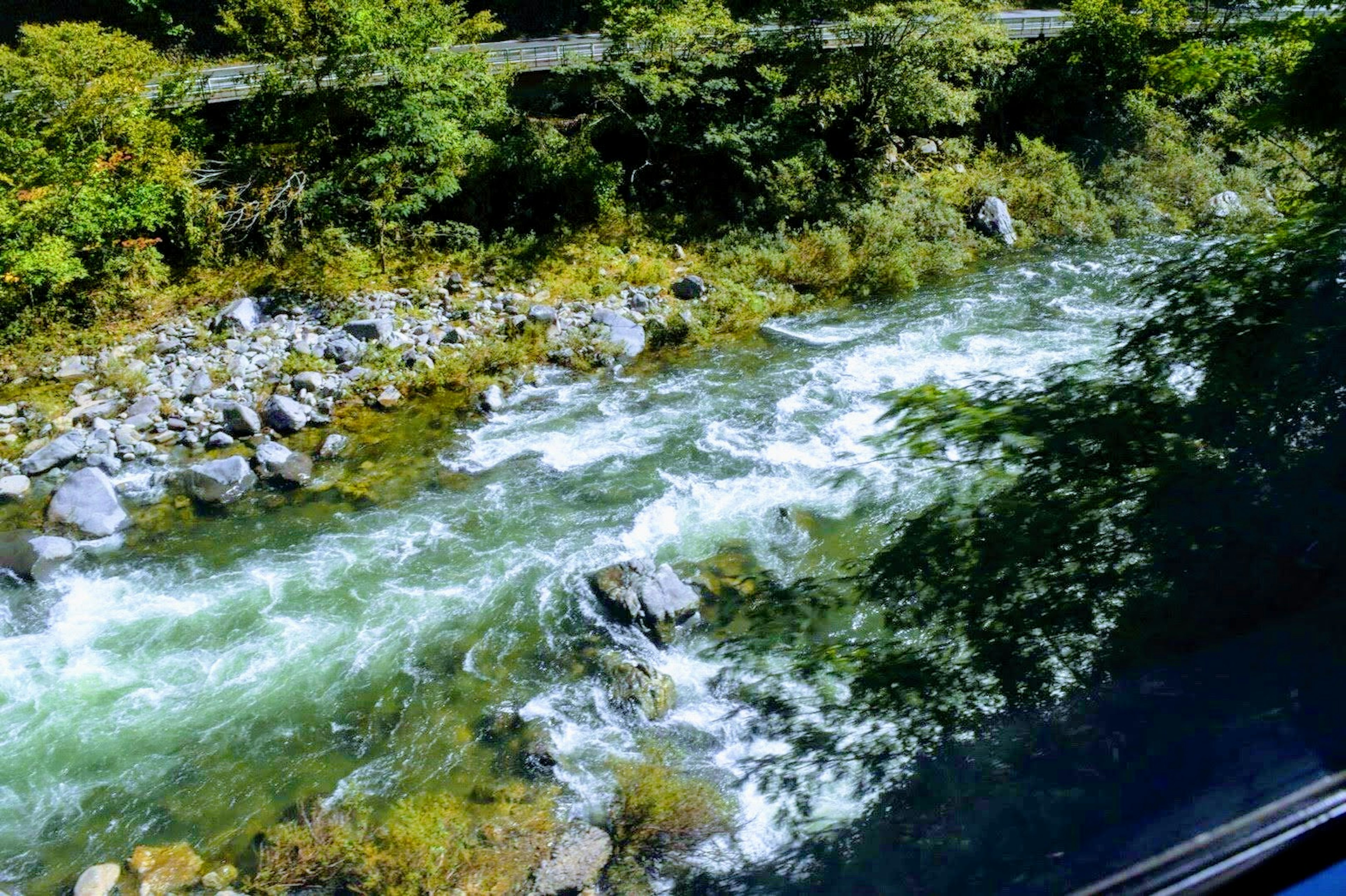 A flowing river surrounded by green trees