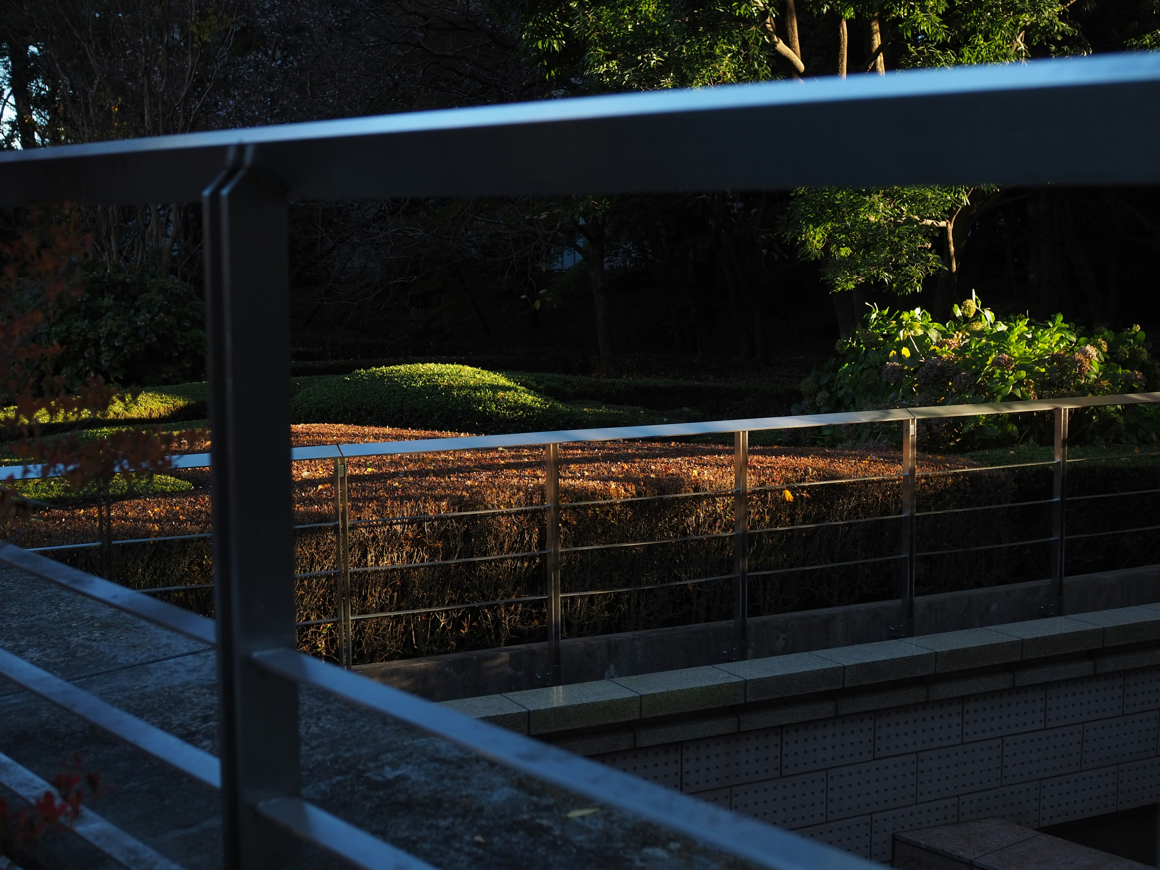 Lumière du soir se reflétant sur une vue de jardin avec rampe en métal