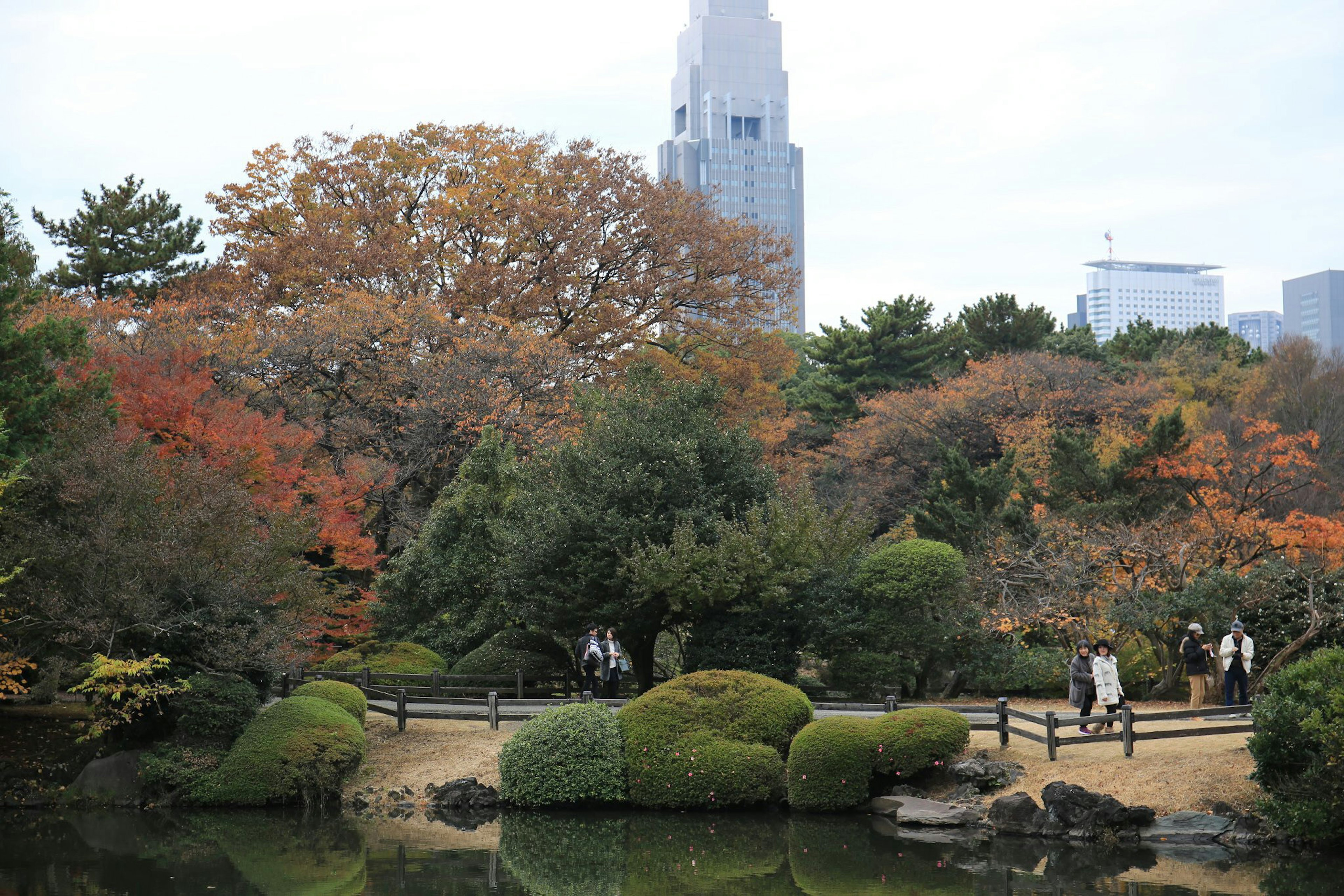 Scenic Japanese garden in autumn colors with skyscraper in background