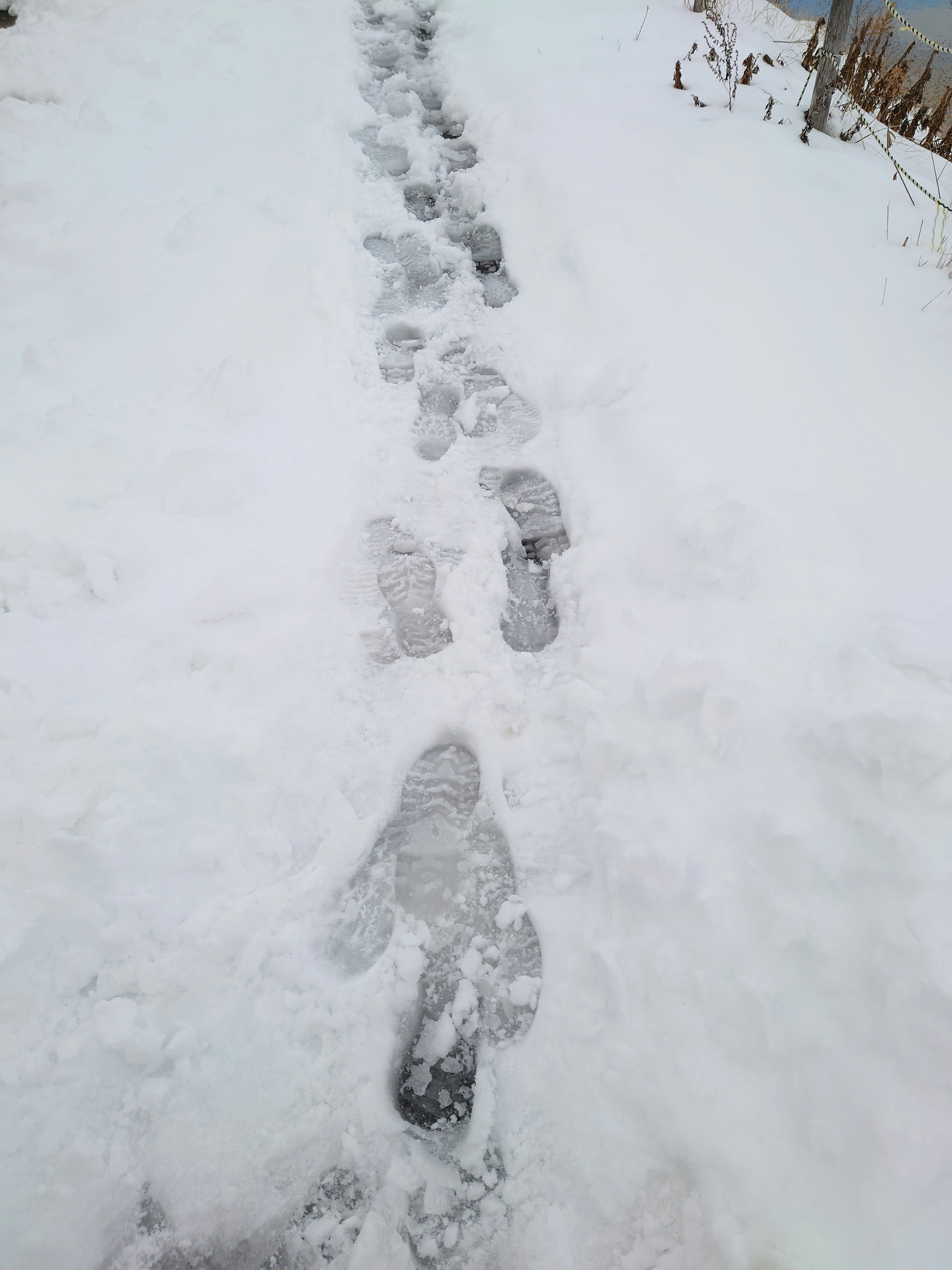 Clear footprints leading through a snowy path