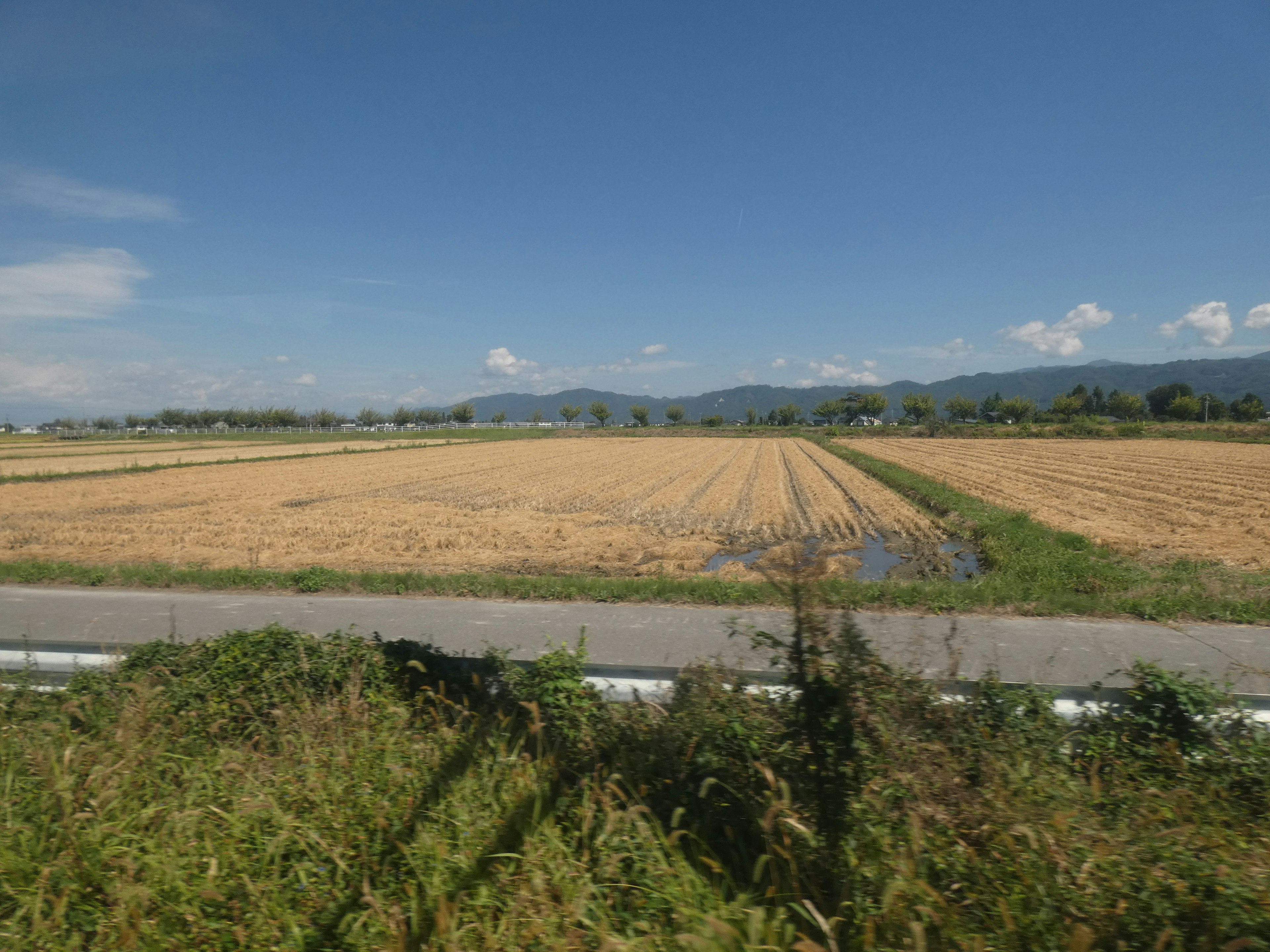 Ladang padi yang luas setelah panen di bawah langit biru dengan pegunungan di kejauhan