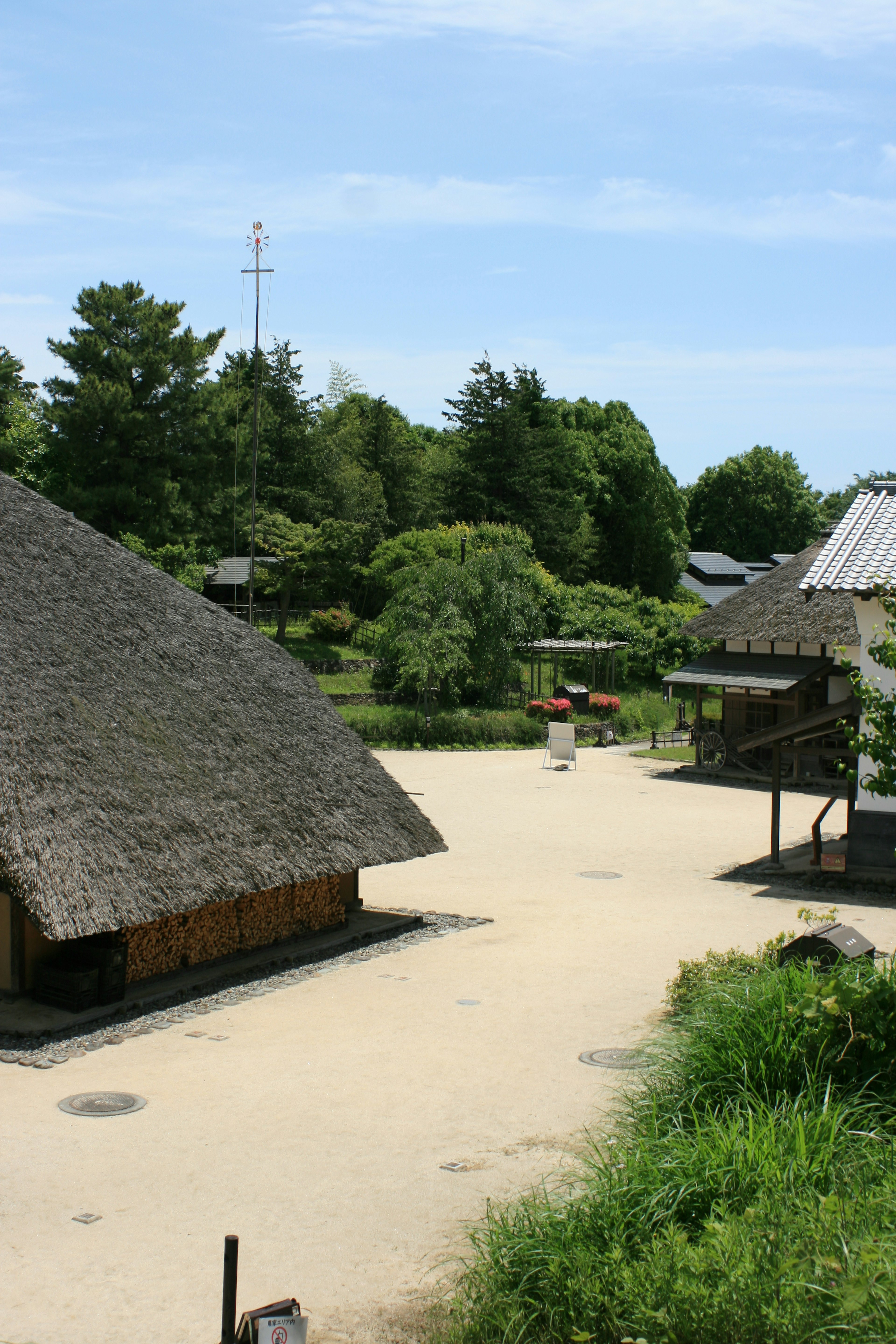 Scène de village japonais traditionnel entourée de nature bâtiments au toit de chaume et arbres verts