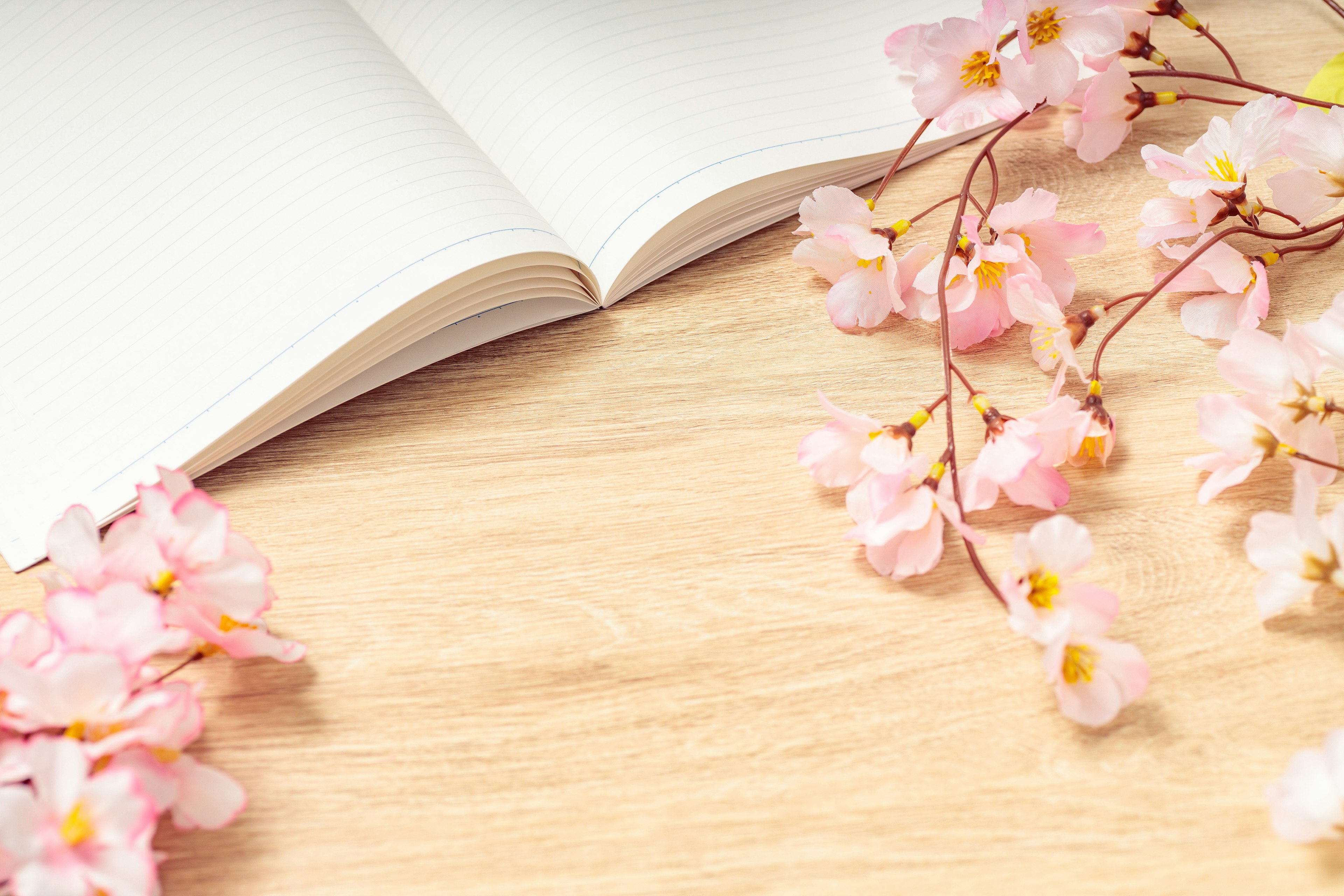 Open notebook with cherry blossom petals on a wooden surface