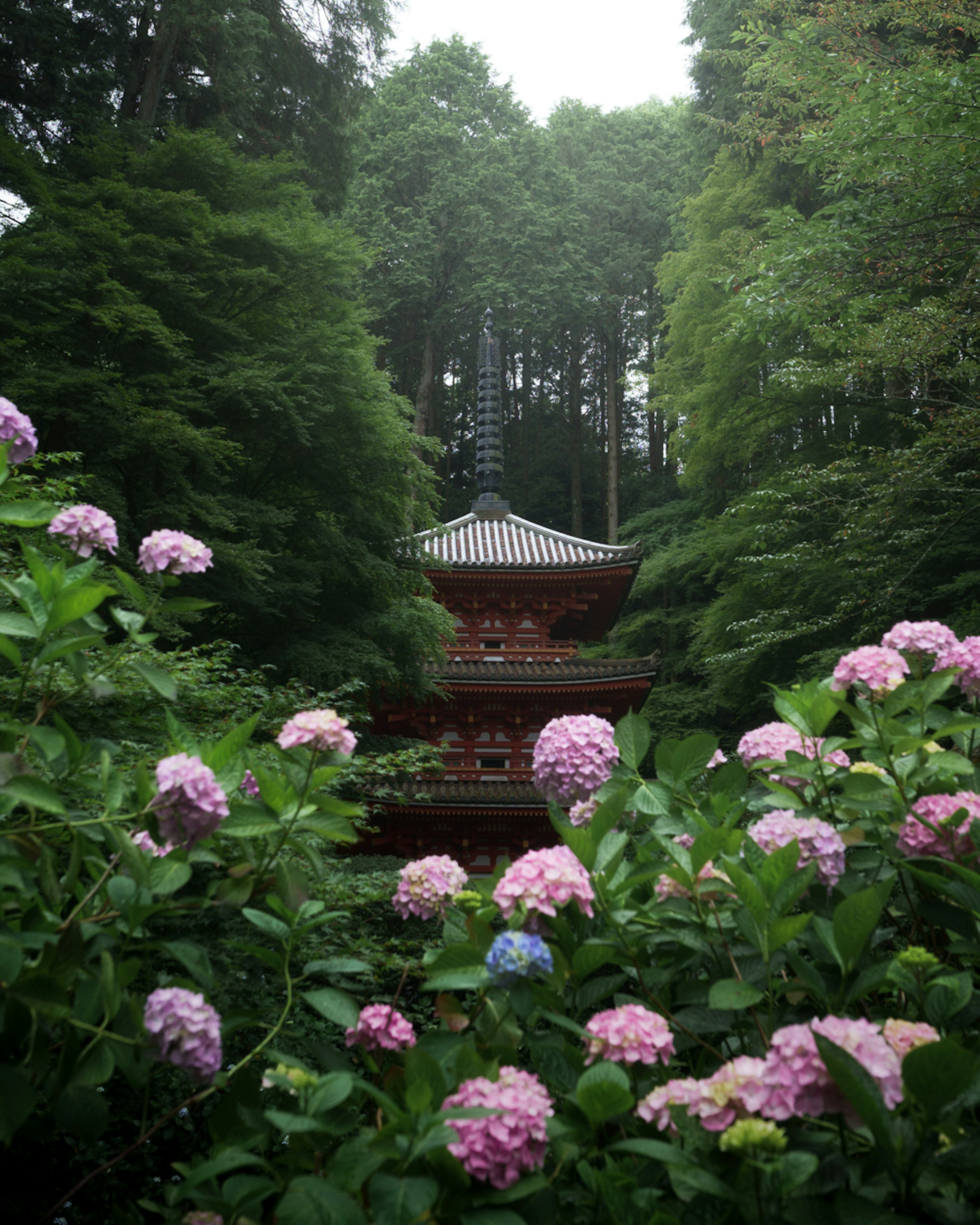 Un templo rojo rodeado de flores de hortensia en un bosque verde